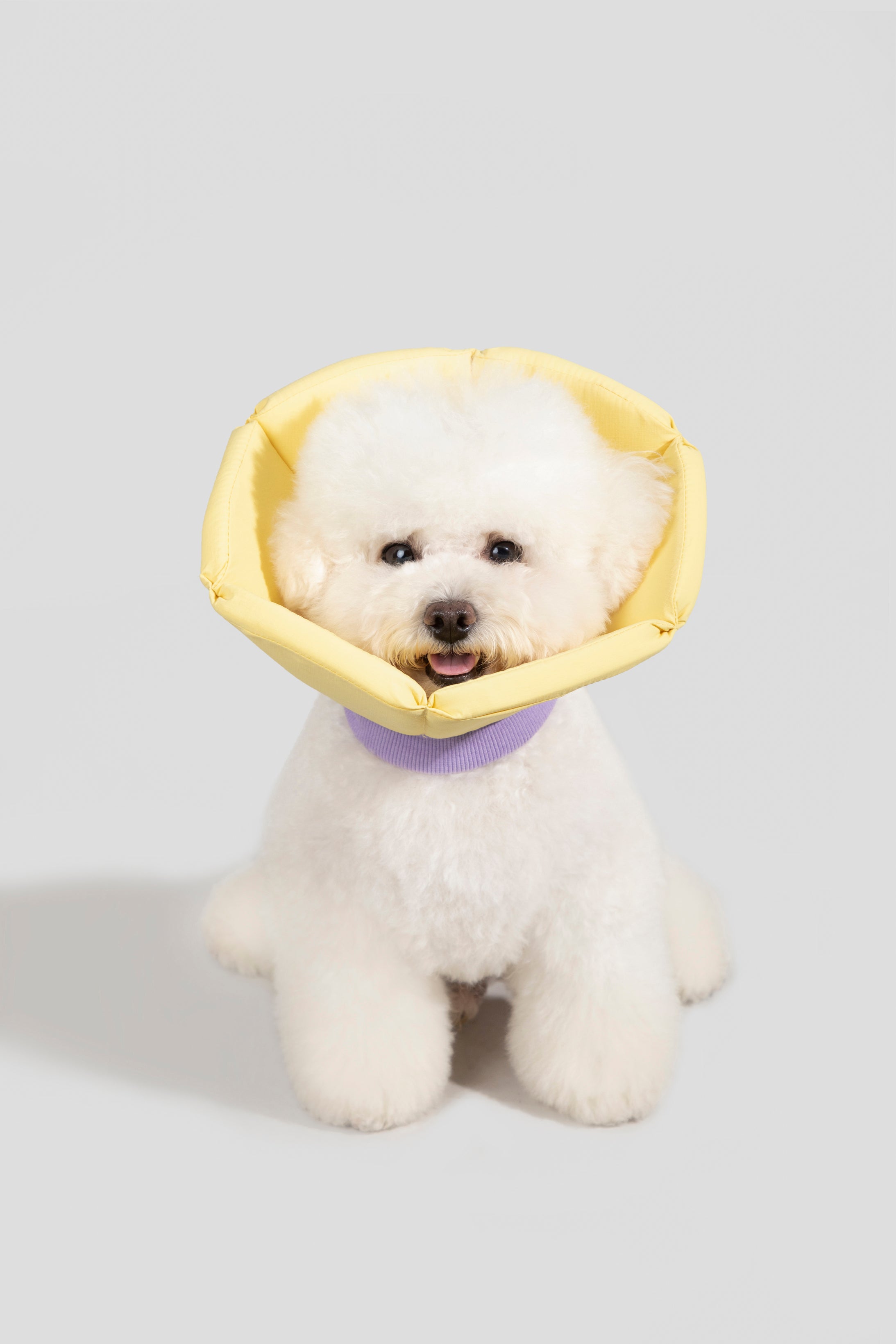 Sponge Cone Recovery Pet Collar