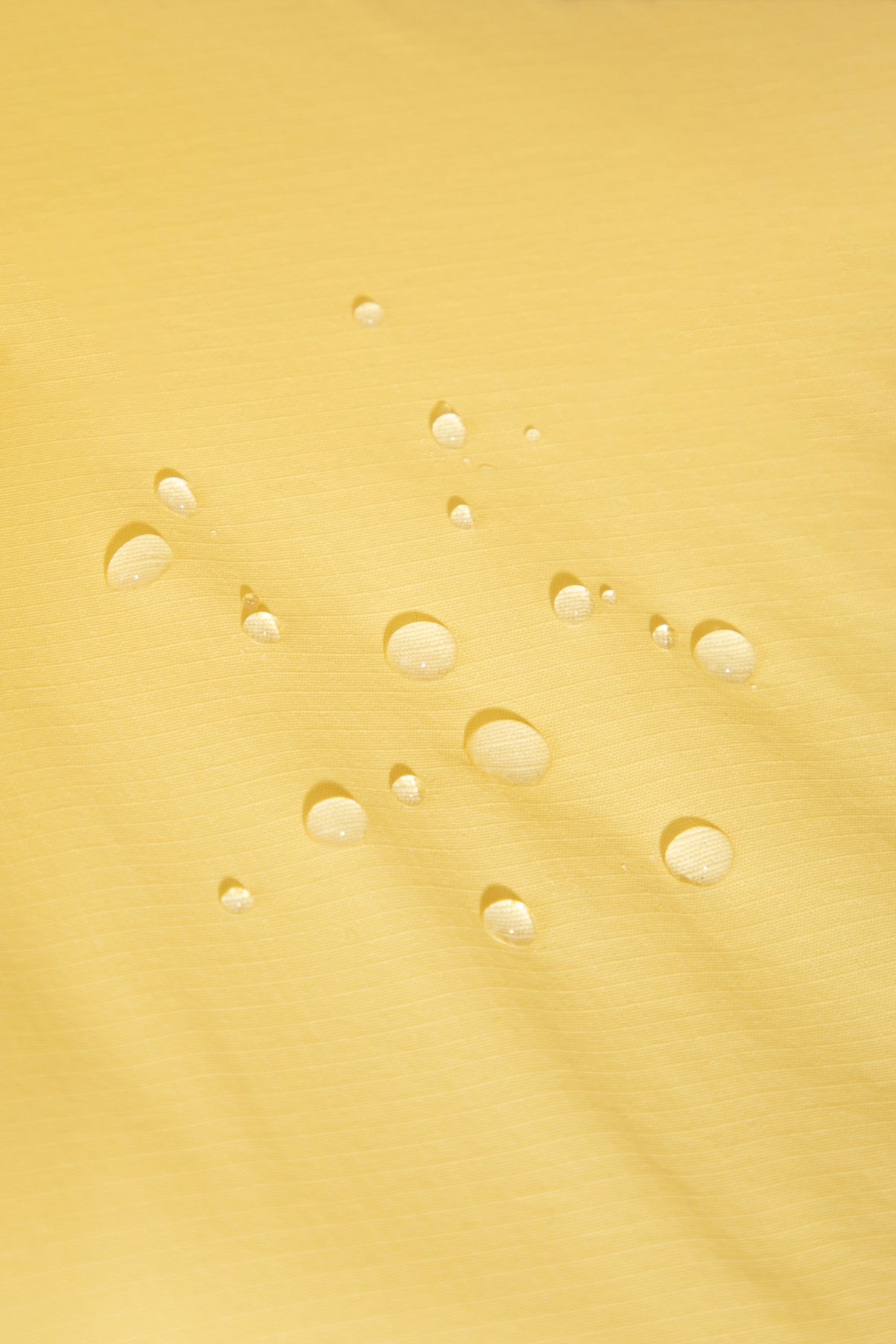 Sponge Cone Recovery Pet Collar - Bottle Green