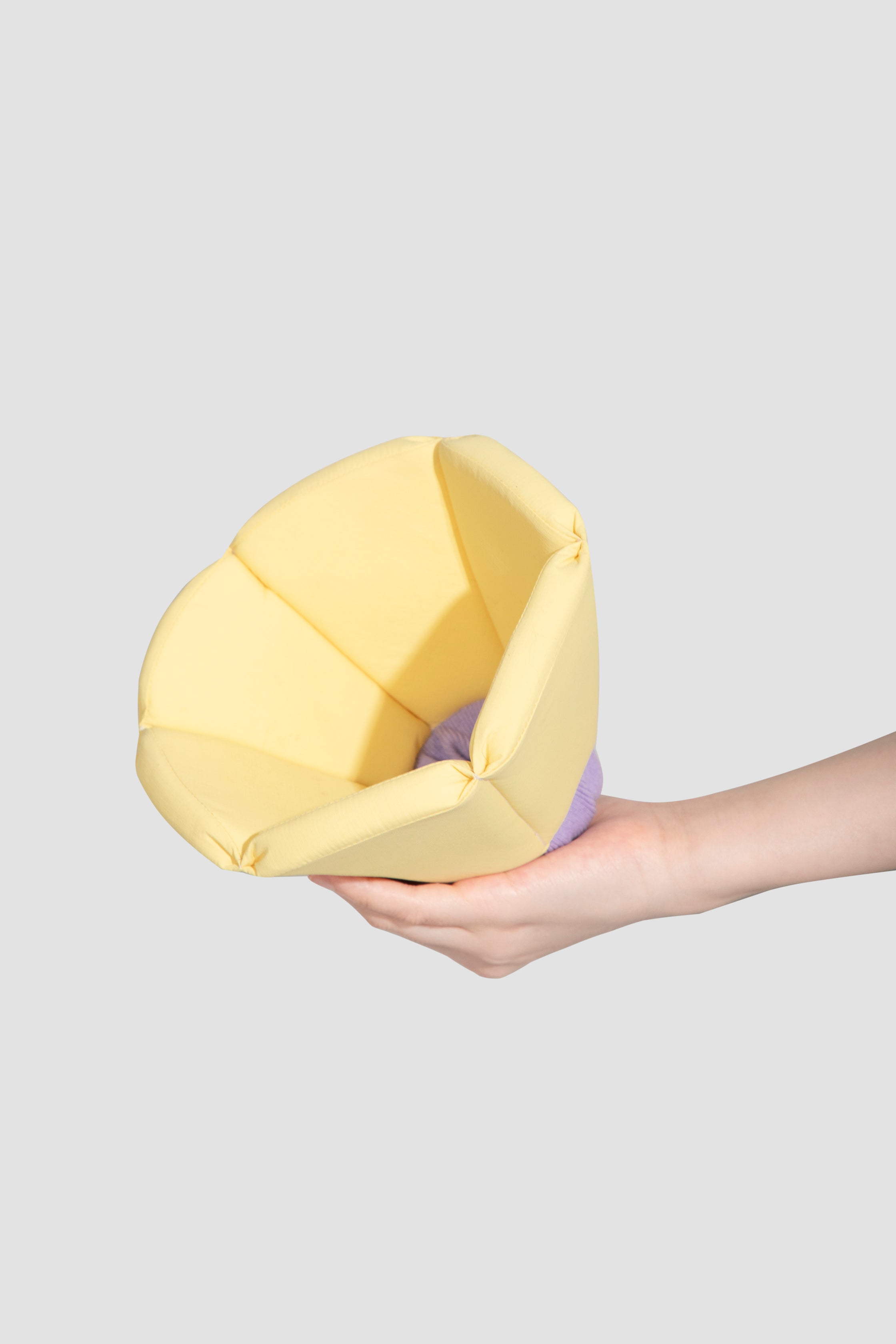 Sponge Cone Recovery Pet Collar