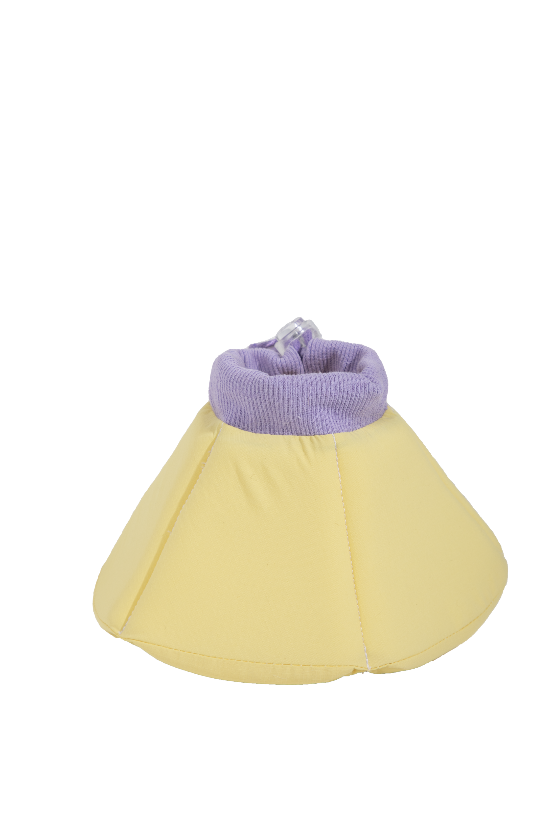 Sponge Cone Recovery Pet Collar