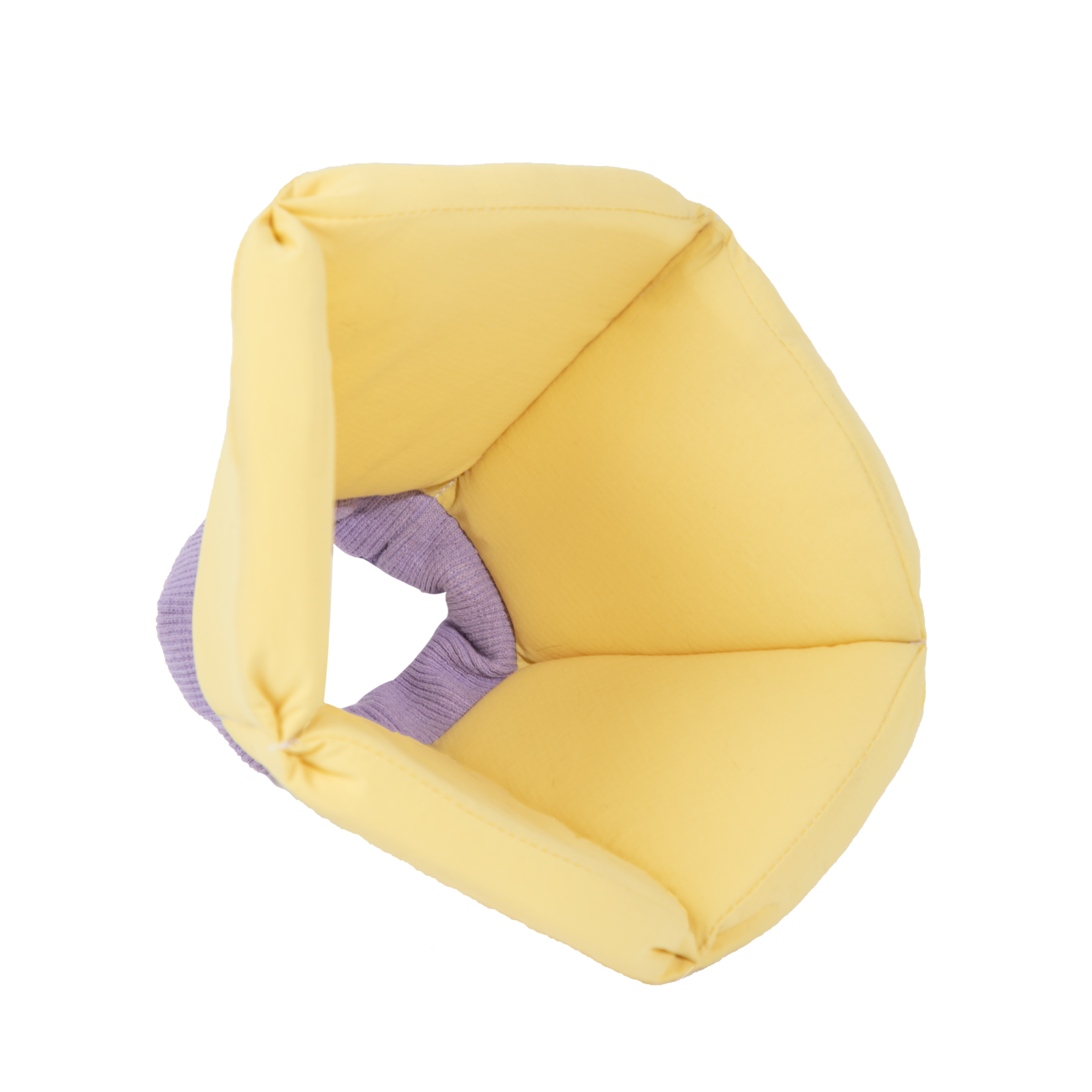 Sponge Cone Recovery Pet Collar