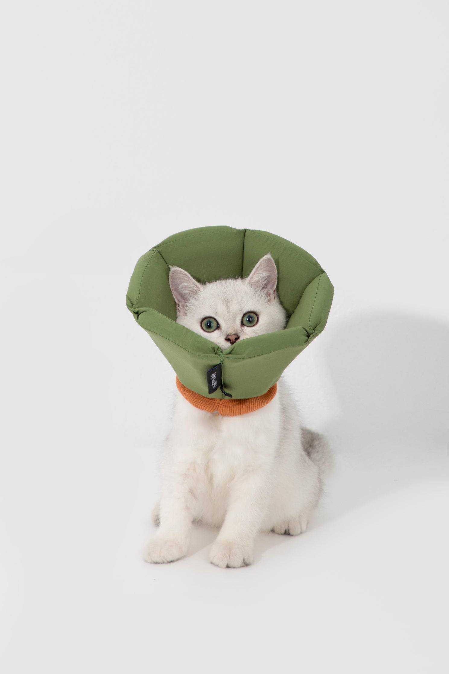 Sponge Cone Recovery Pet Collar