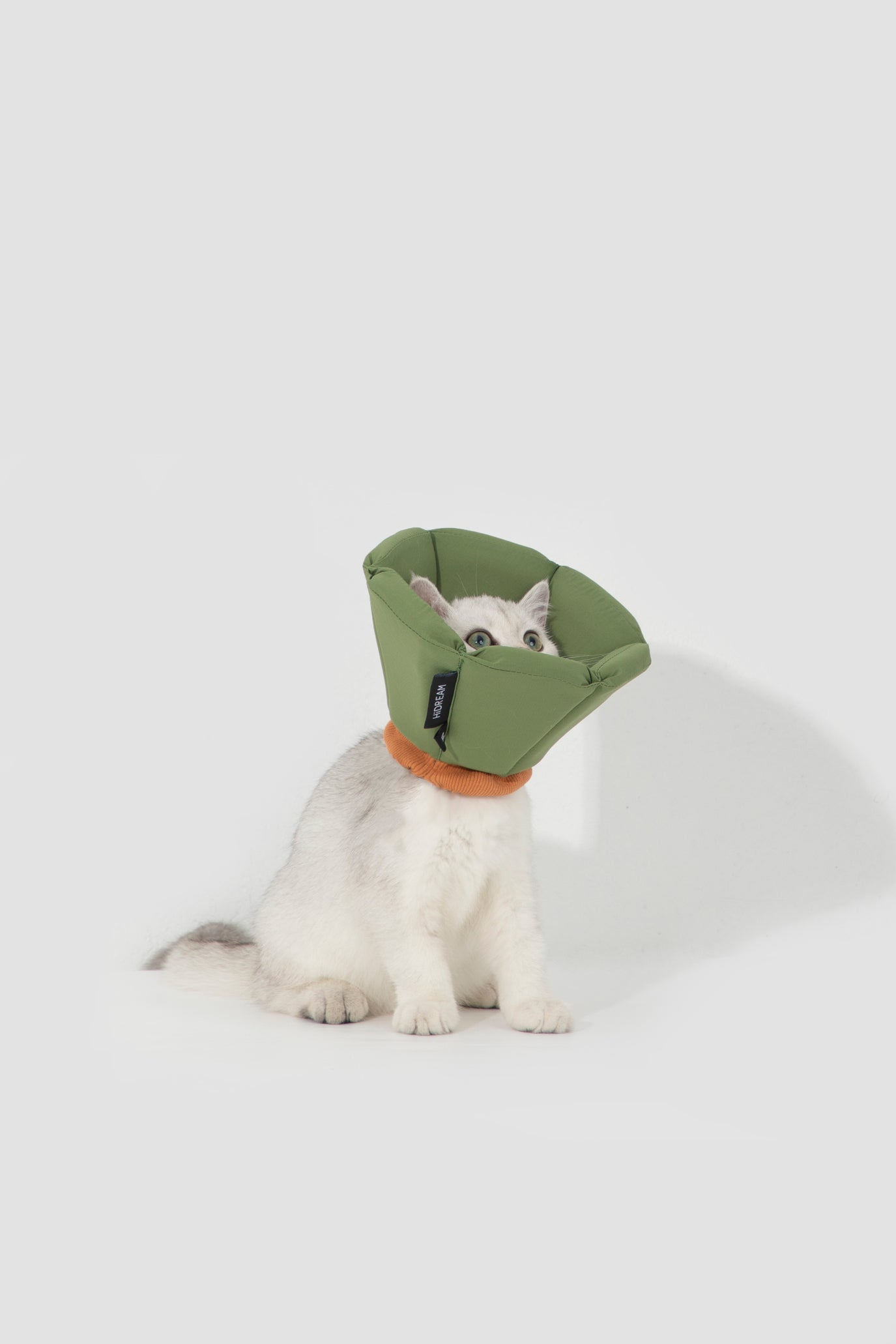 Sponge Cone Recovery Pet Collar