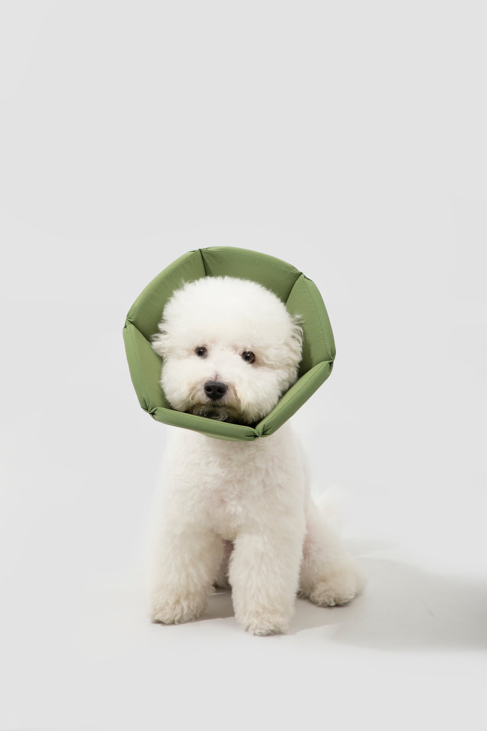 Sponge Cone Recovery Pet Collar