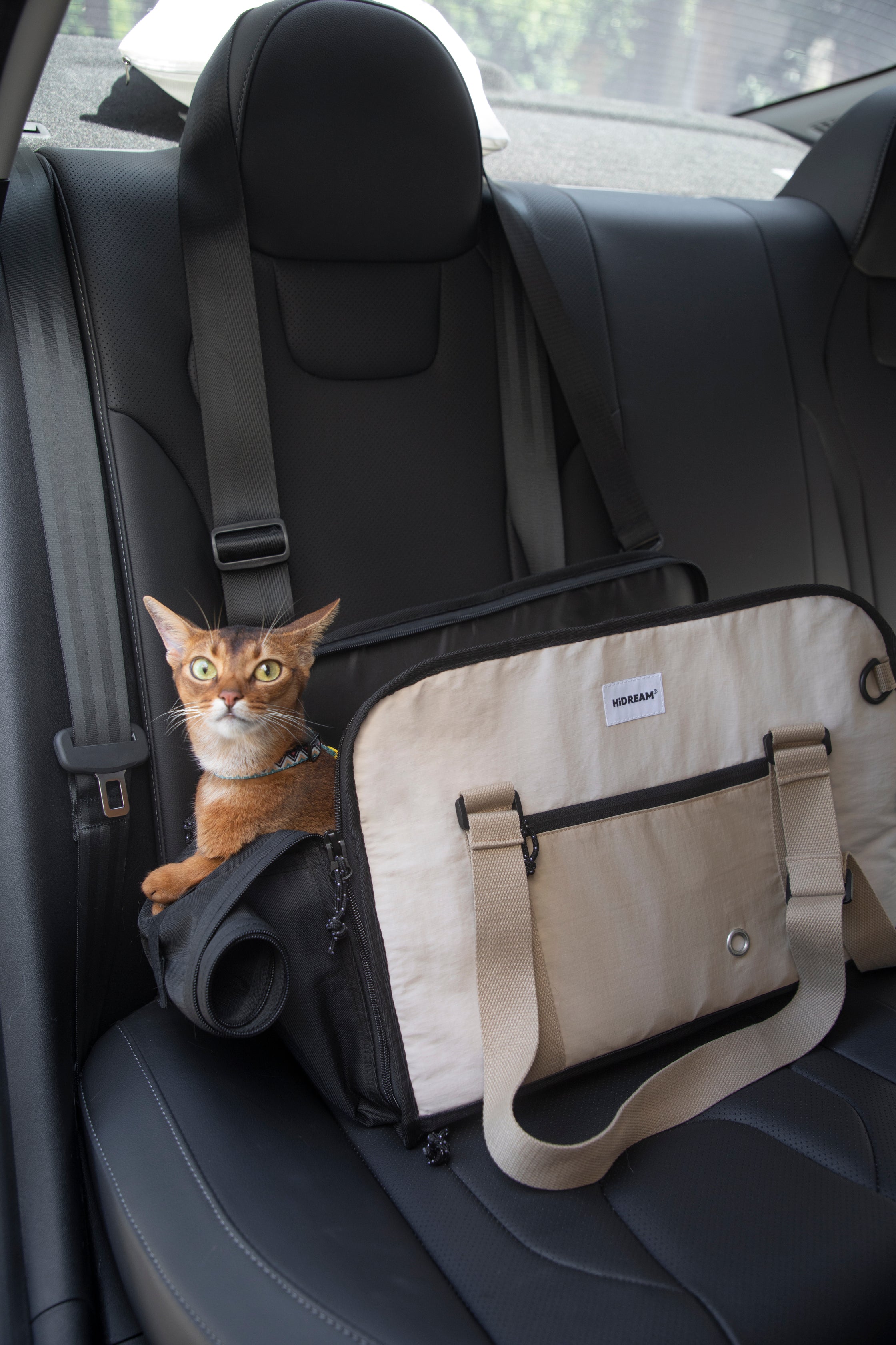 Pet Outdoor Sling Tote Bag - Oat Milk