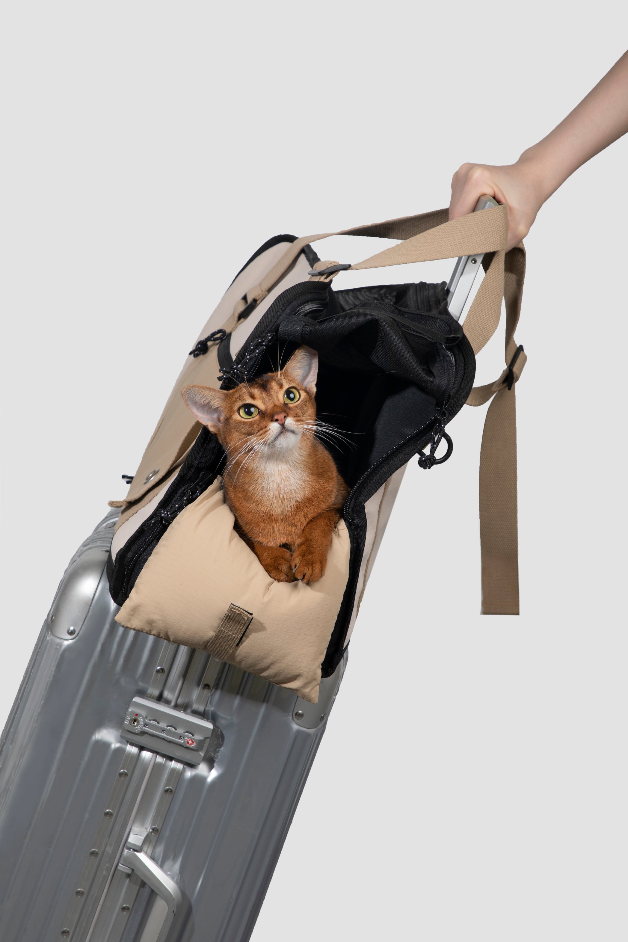 Pet Outdoor Sling Tote Bag - Oat Milk