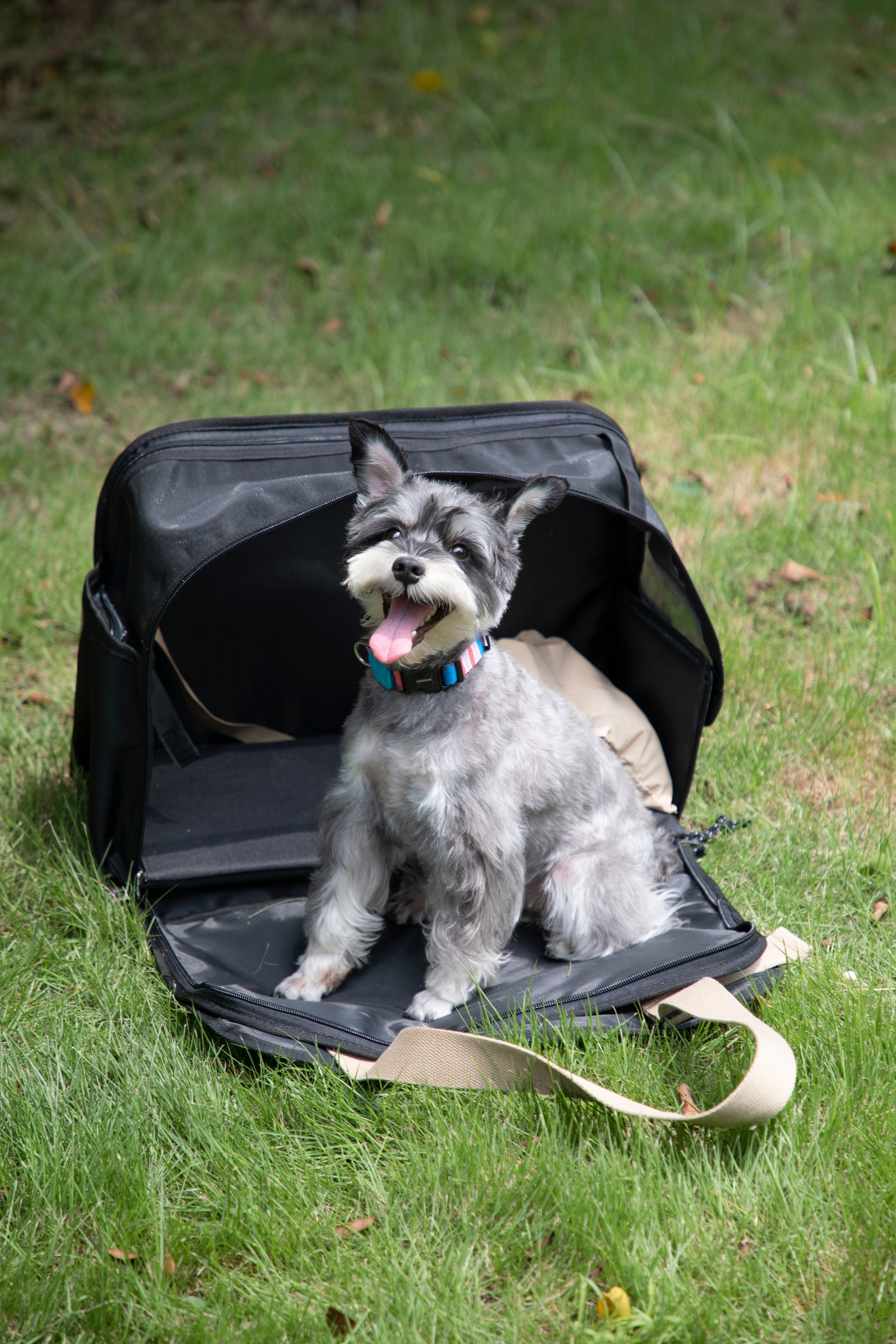 Pet Outdoor Sling Tote Bag - Oat Milk