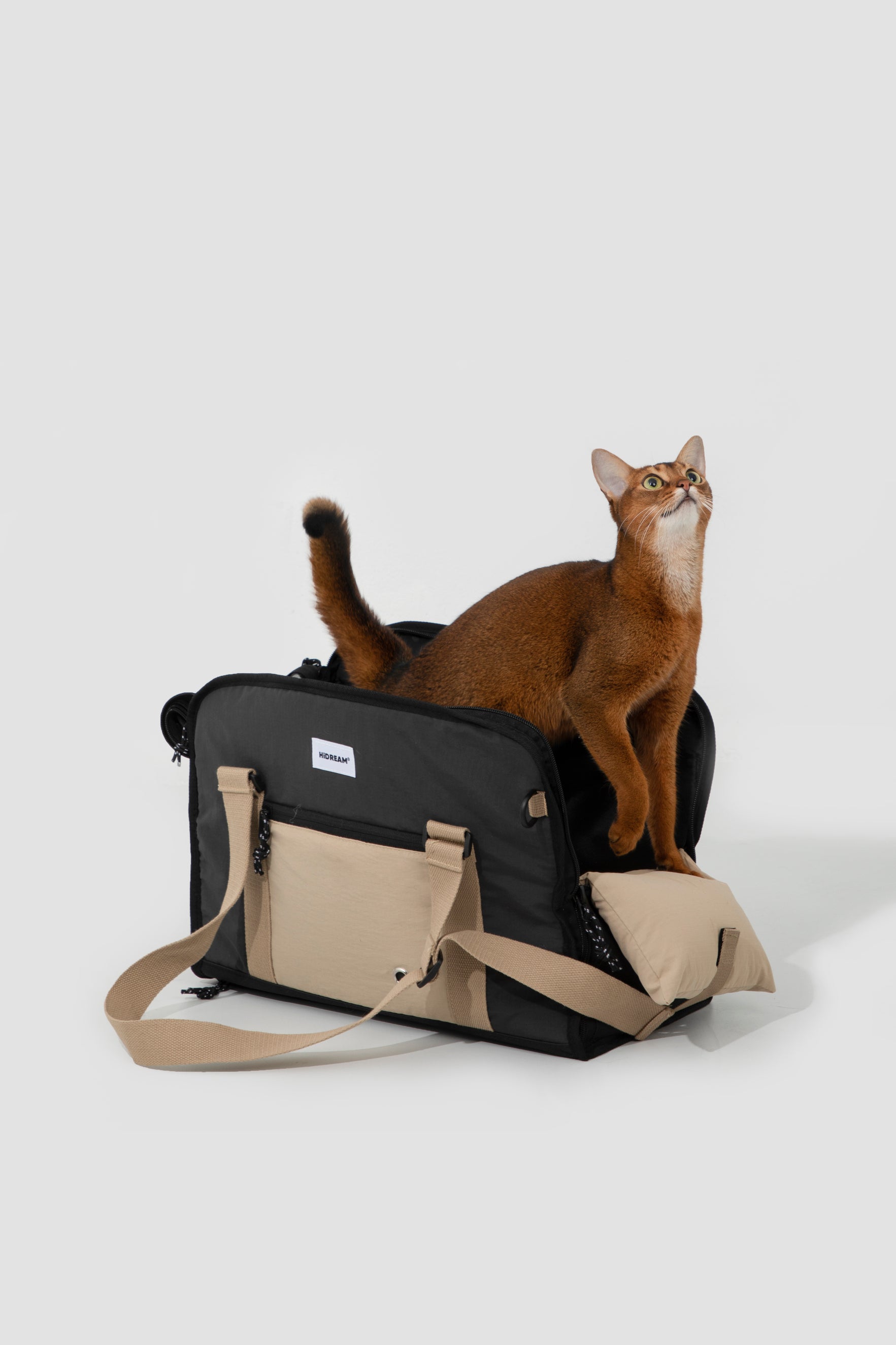 Pet Outdoor Sling Tote Bag