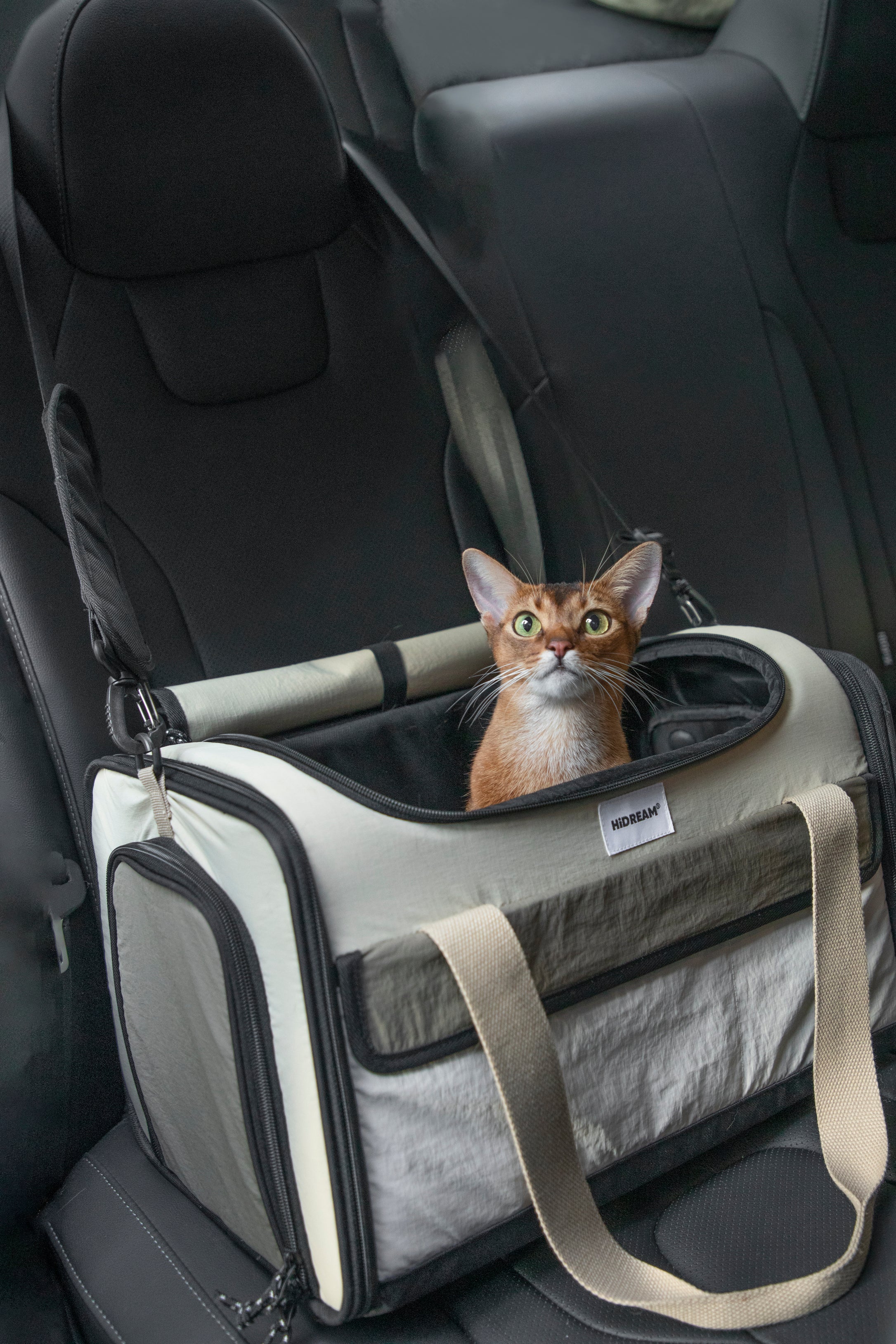 Pet Travel Tote Bag for Airplane and Carriers