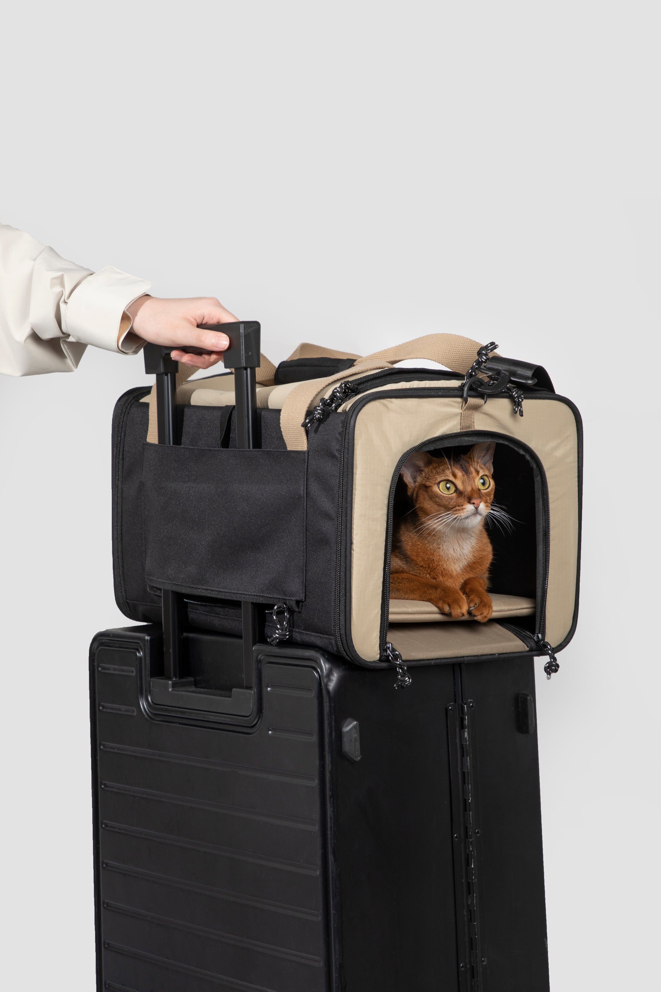 Pet Travel Tote Bag for Airplane and Carriers