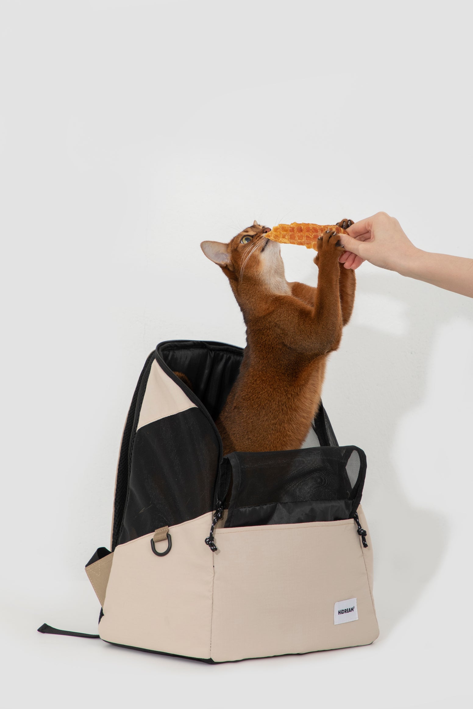 Lightweight Pet Backpack