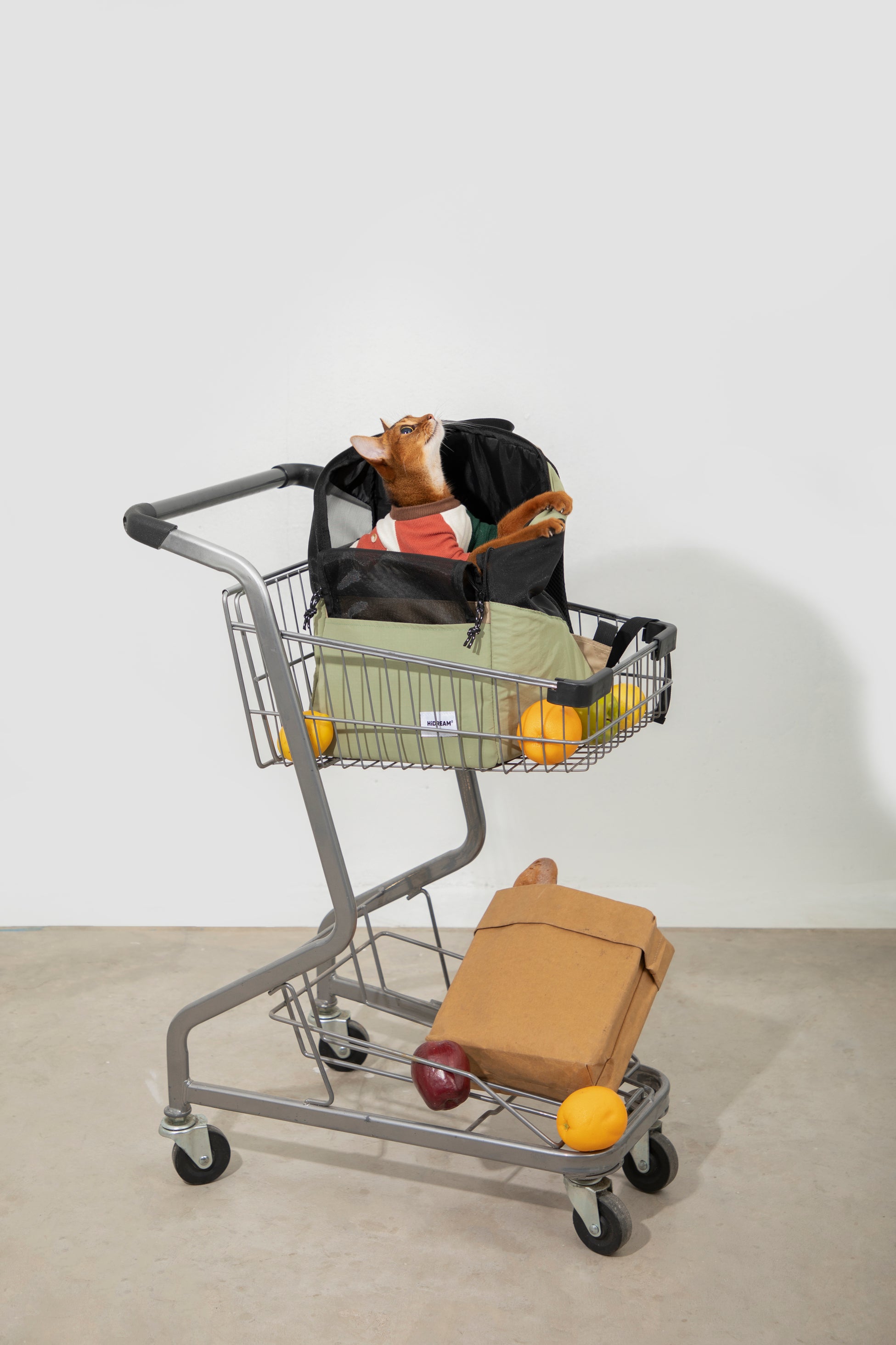 Lightweight Pet Backpack