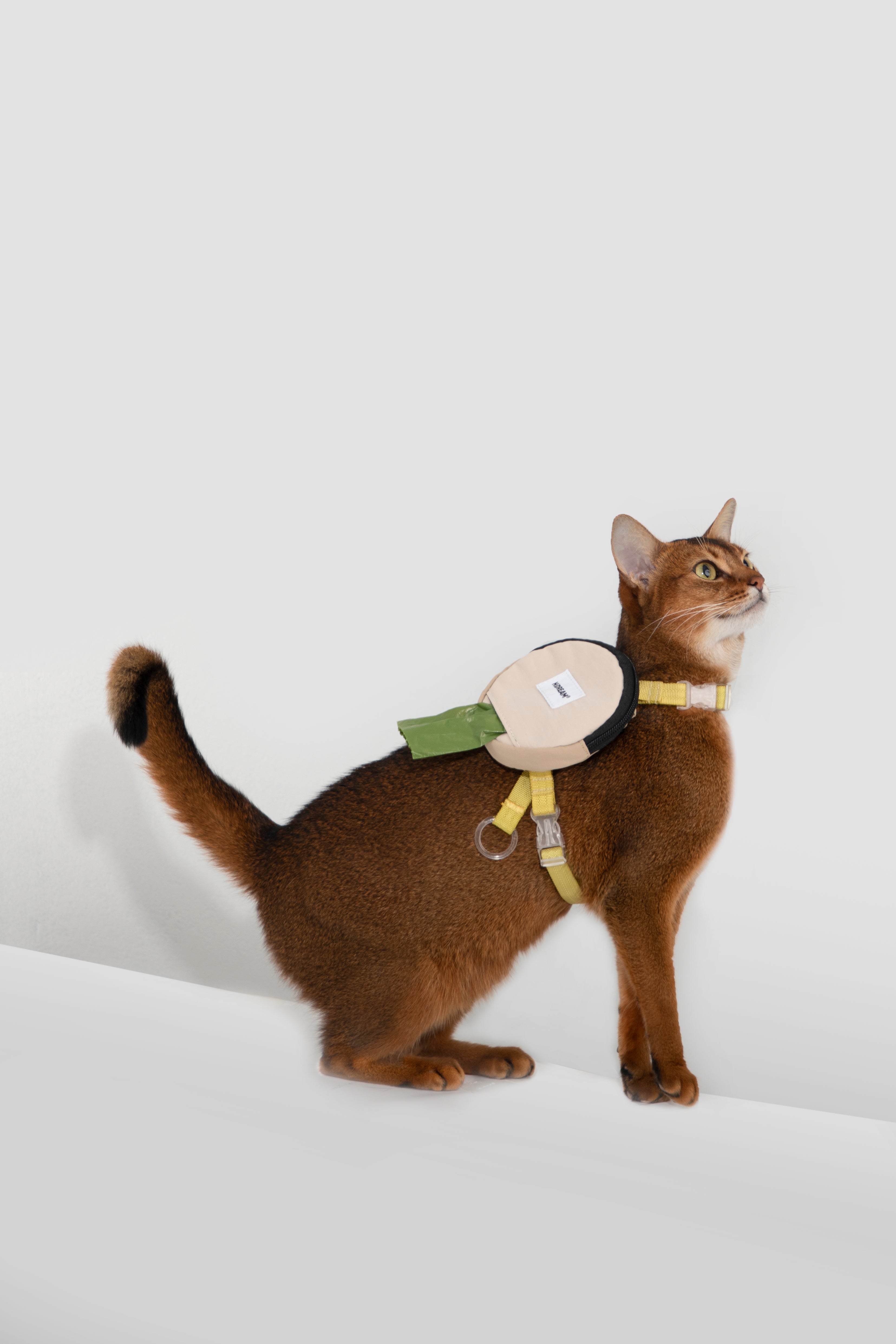 Round Dog Bag Dispenser