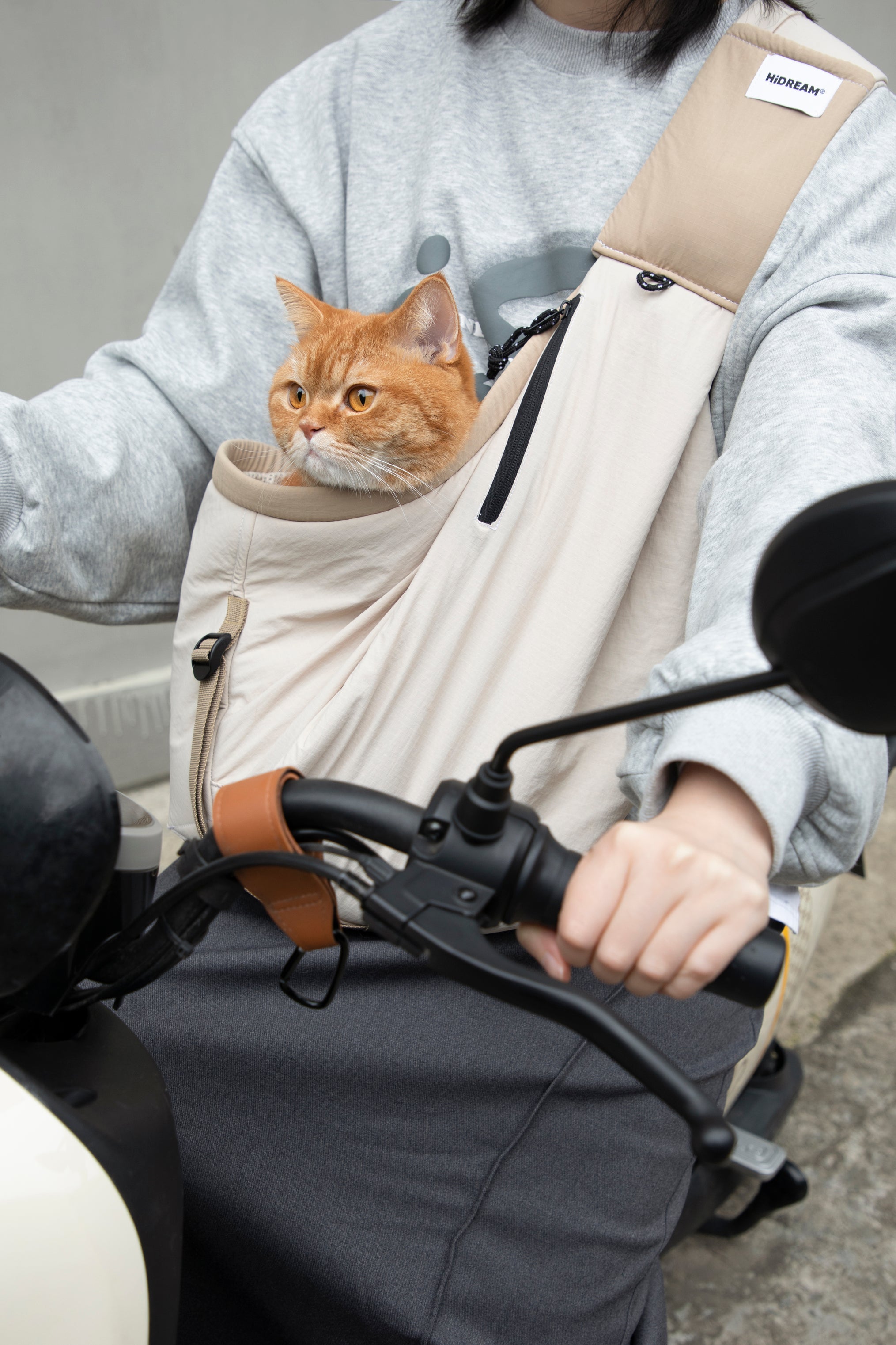 Pet Travel Crossbody Tote Bag