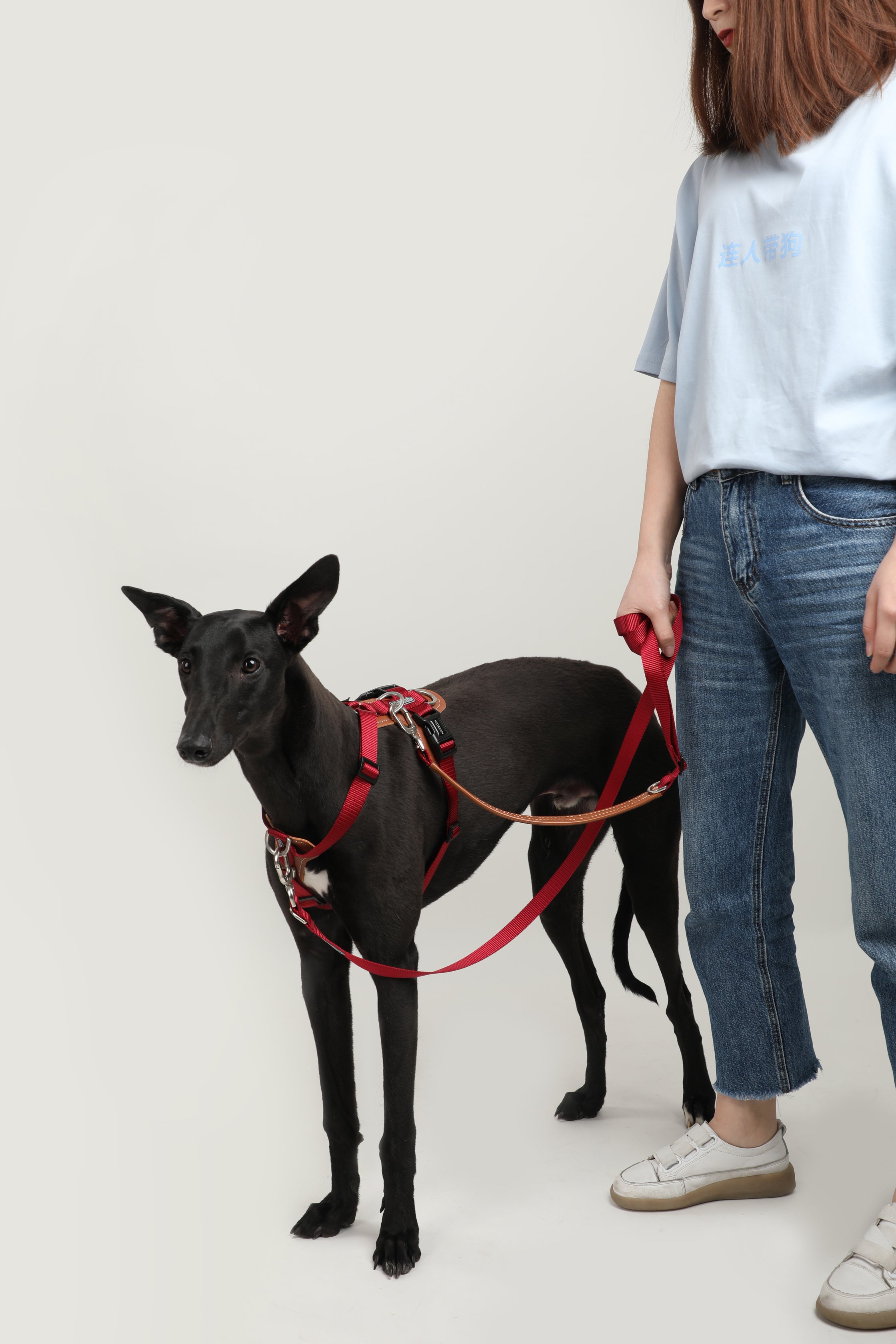 H-Style Dog Harness Vest