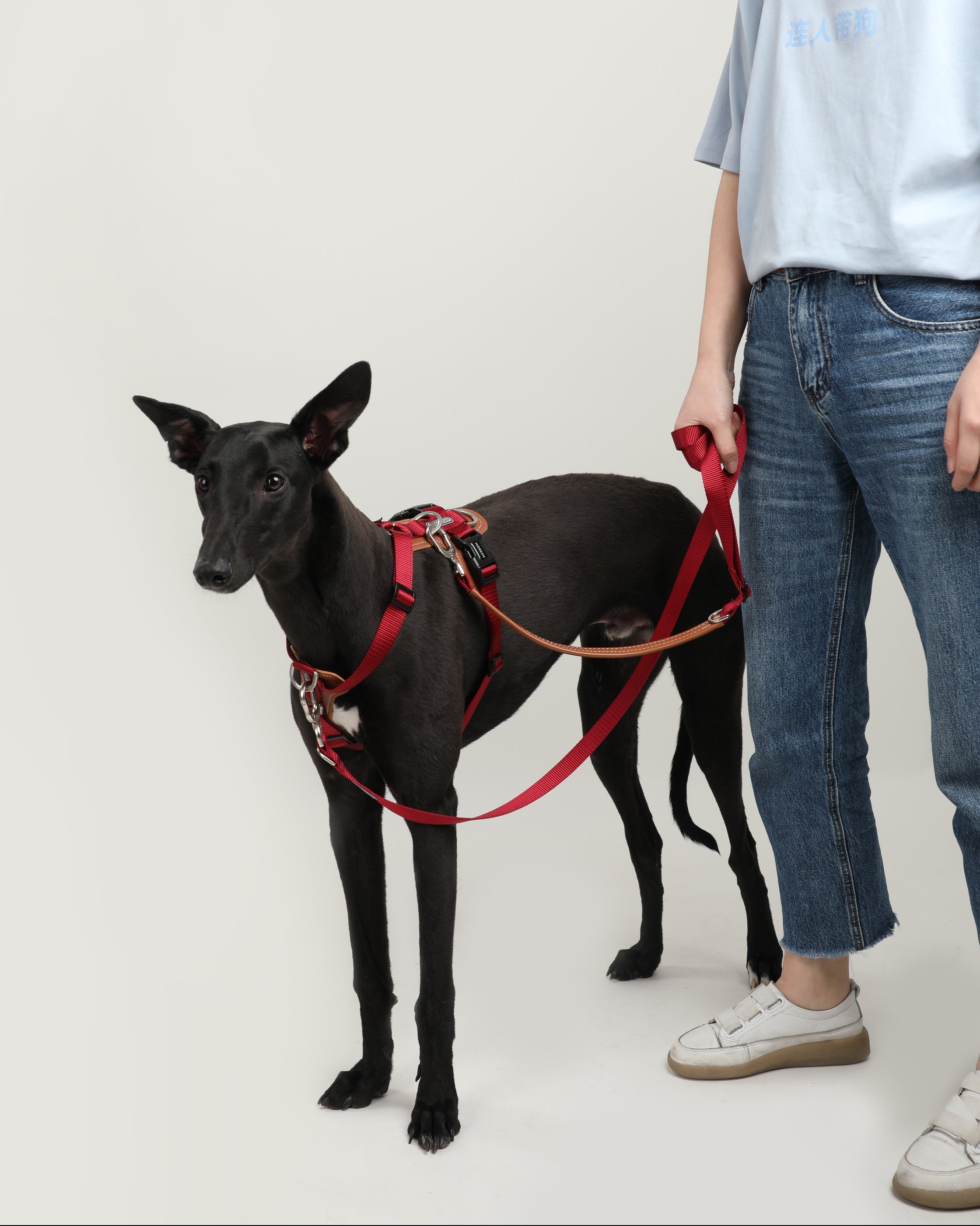 H-Style Dog Harness Vest - Dark Red