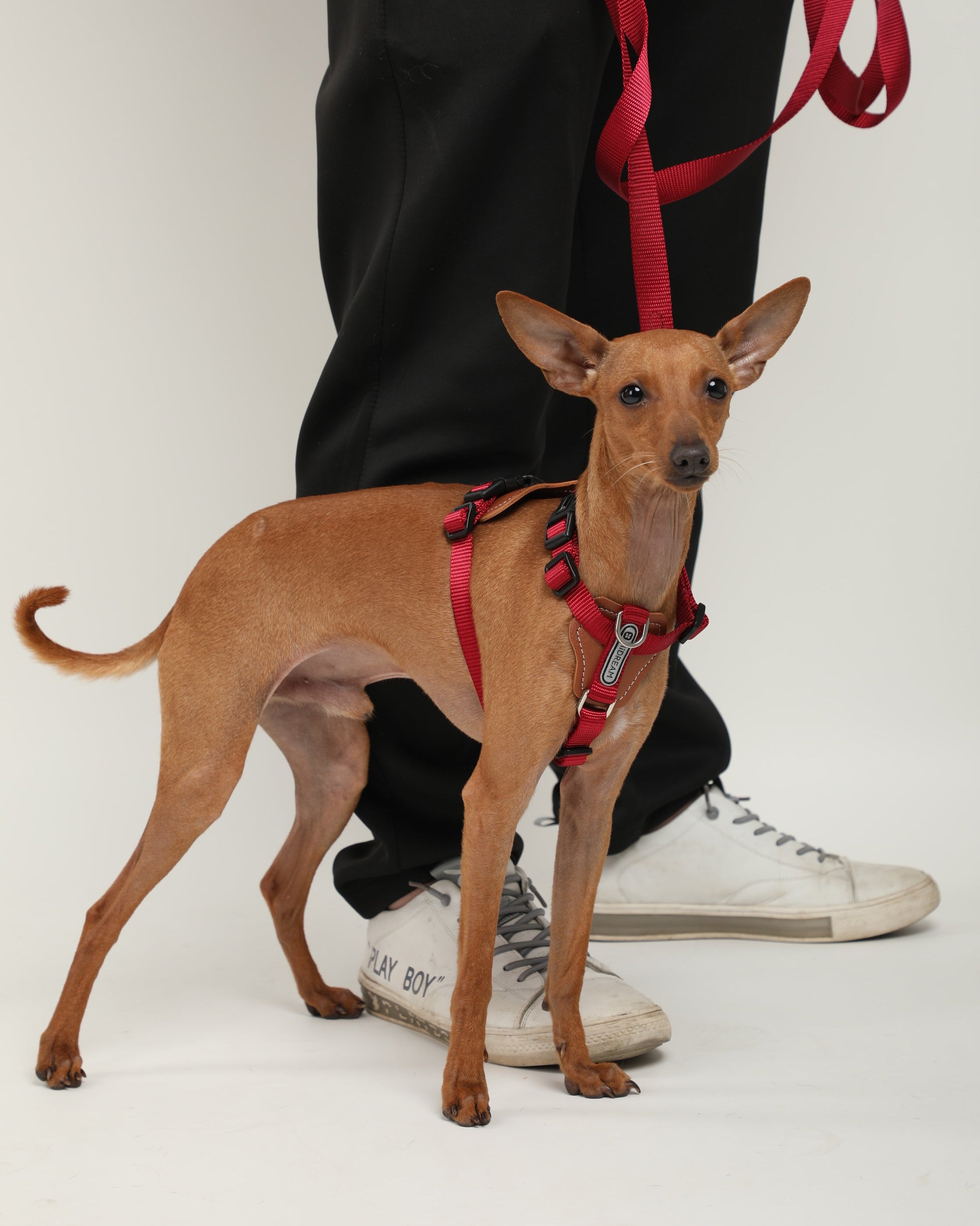 H-Style Dog Harness Vest - Dark Red