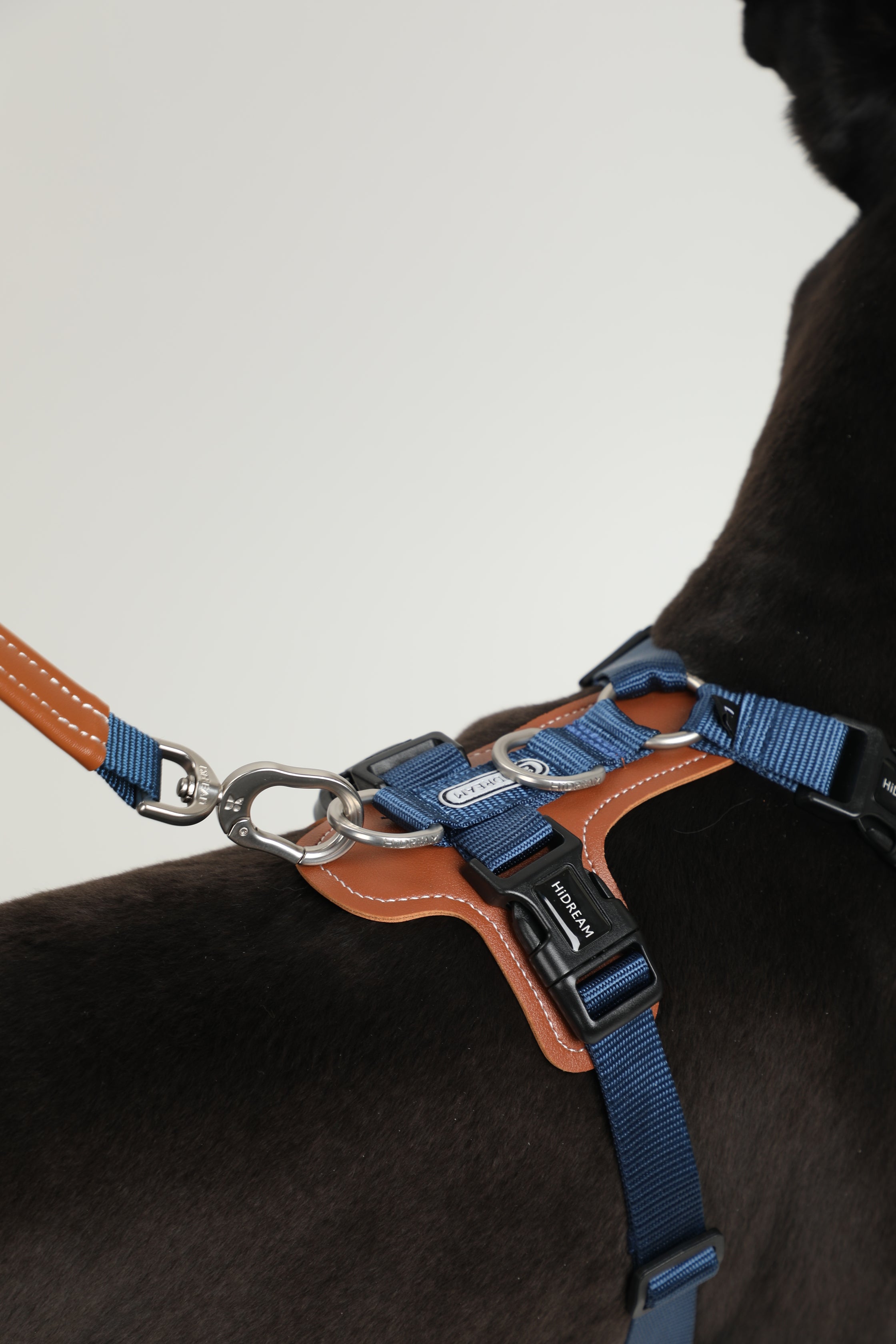 H-Style Dog Harness Vest - Oriental Blue