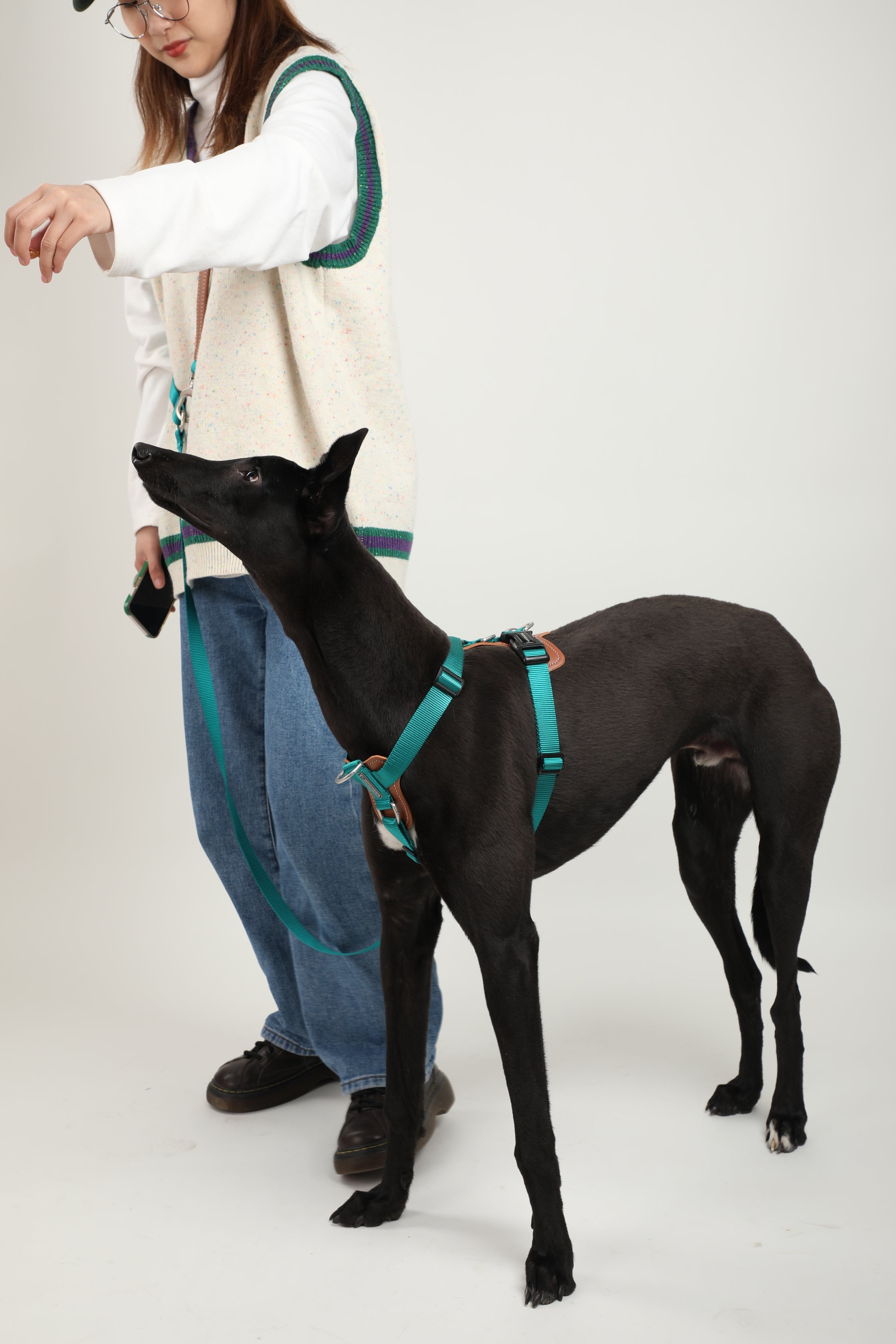 H-Style Dog Harness Vest - Cyan