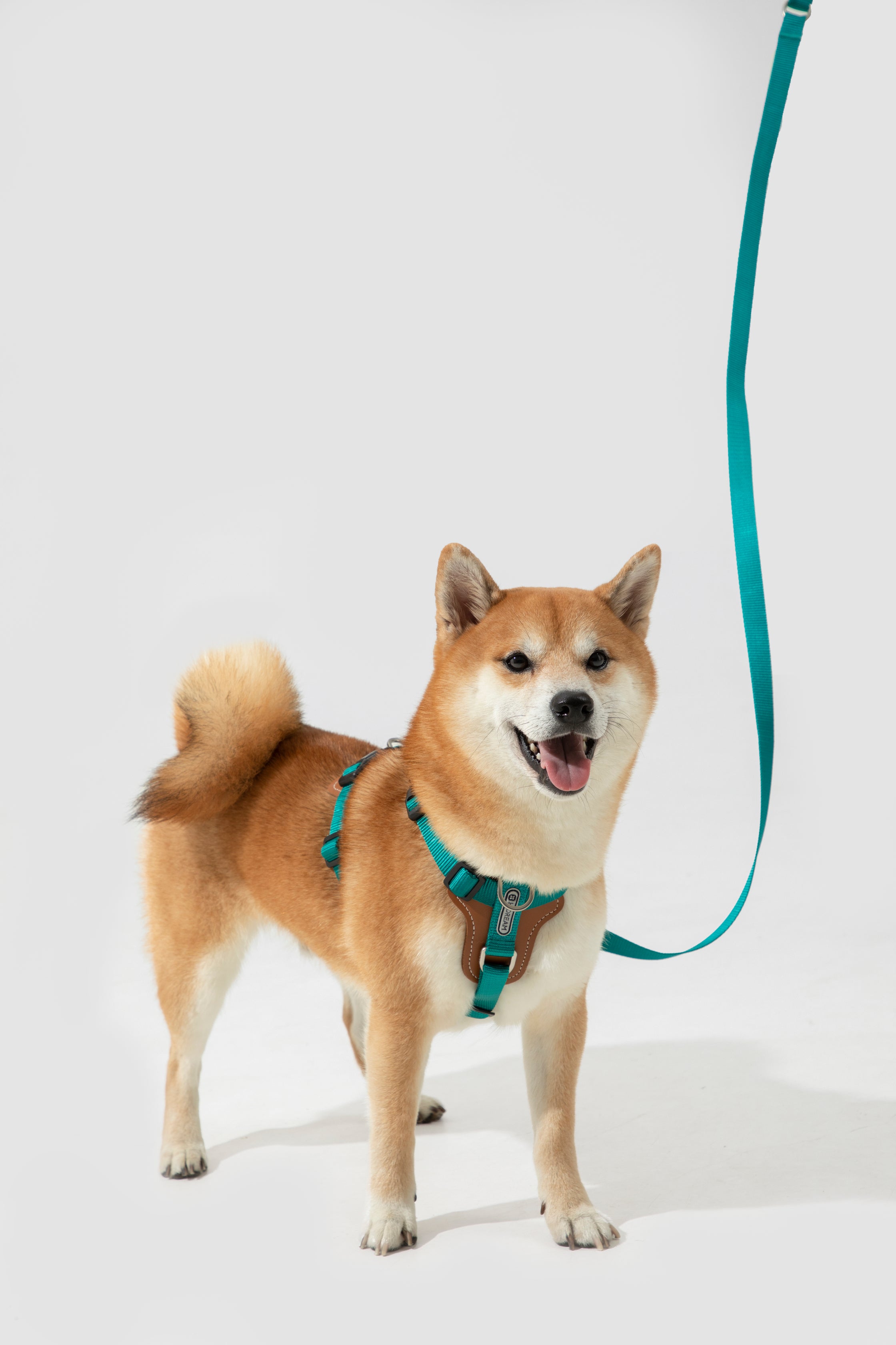 H-Style Dog Harness Vest