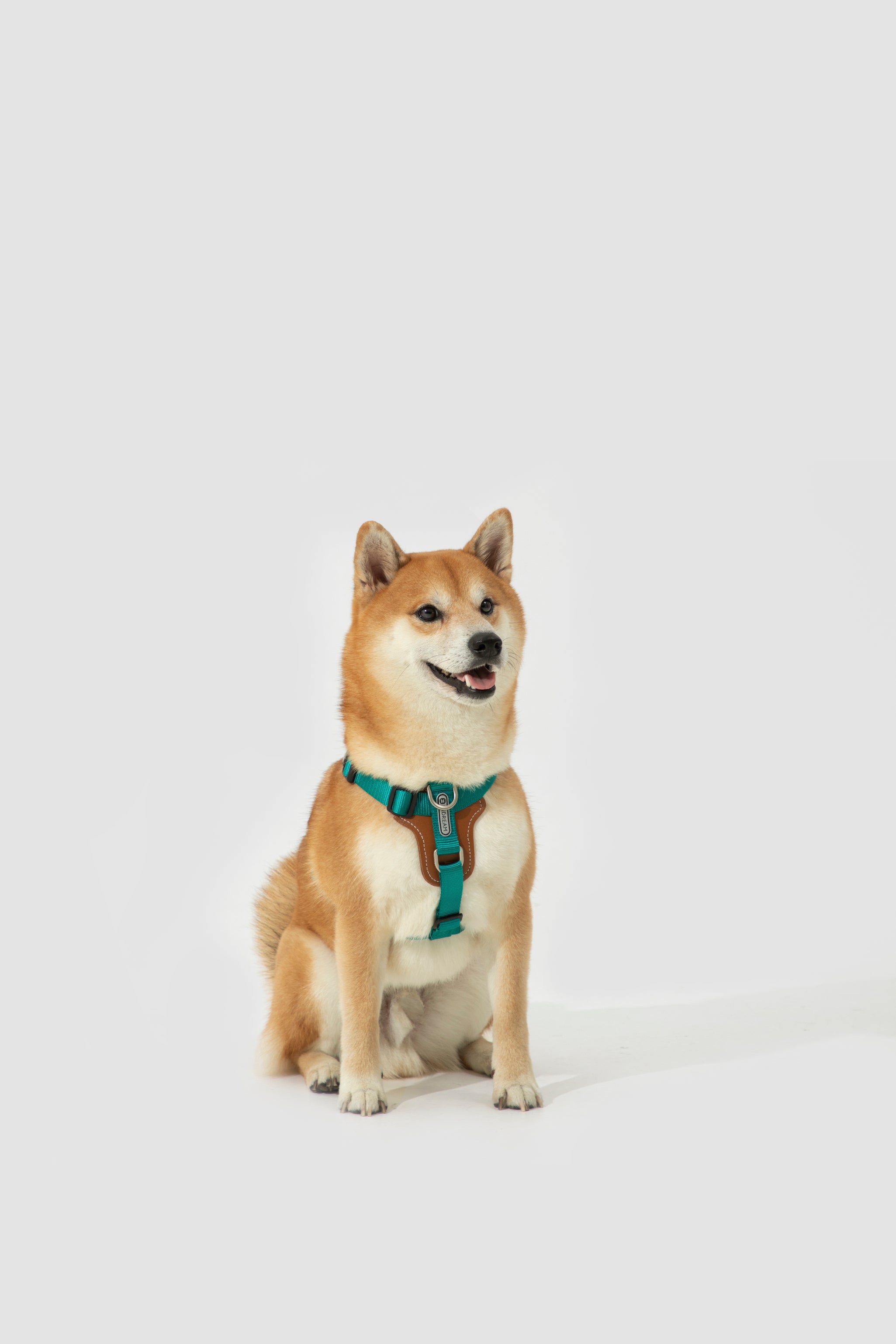 H-Style Dog Harness Vest