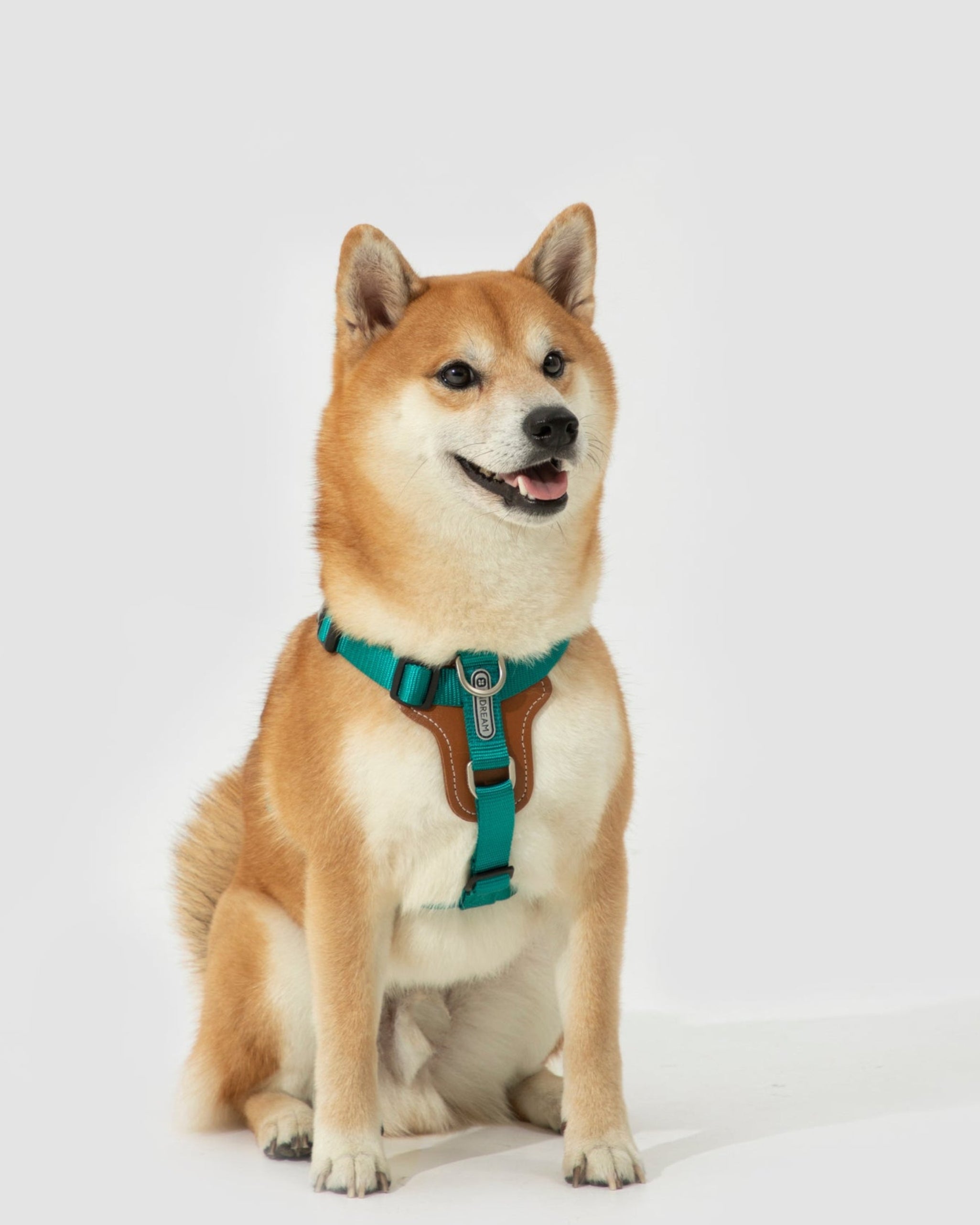 H-Style Dog Harness Vest - Cyan