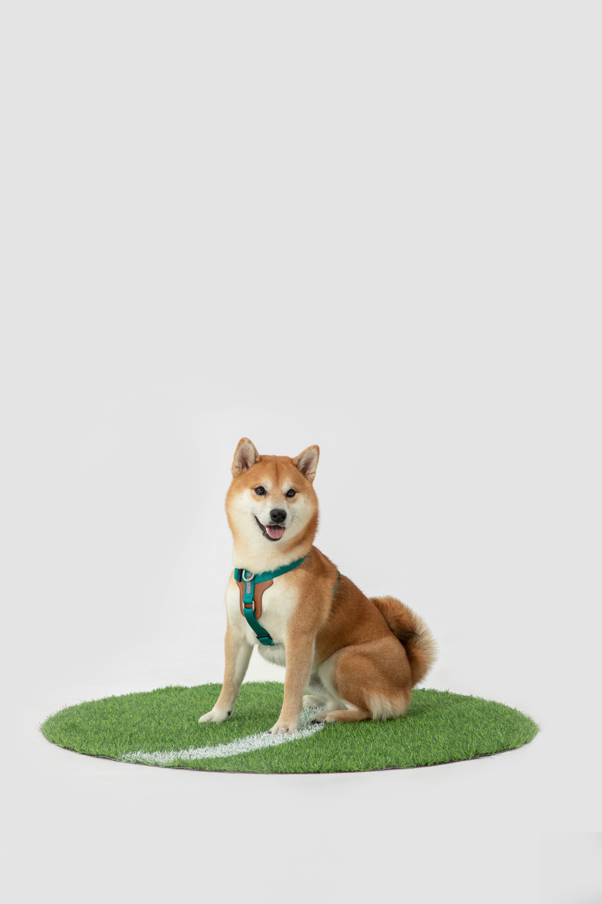 H-Style Dog Harness Vest - Cyan