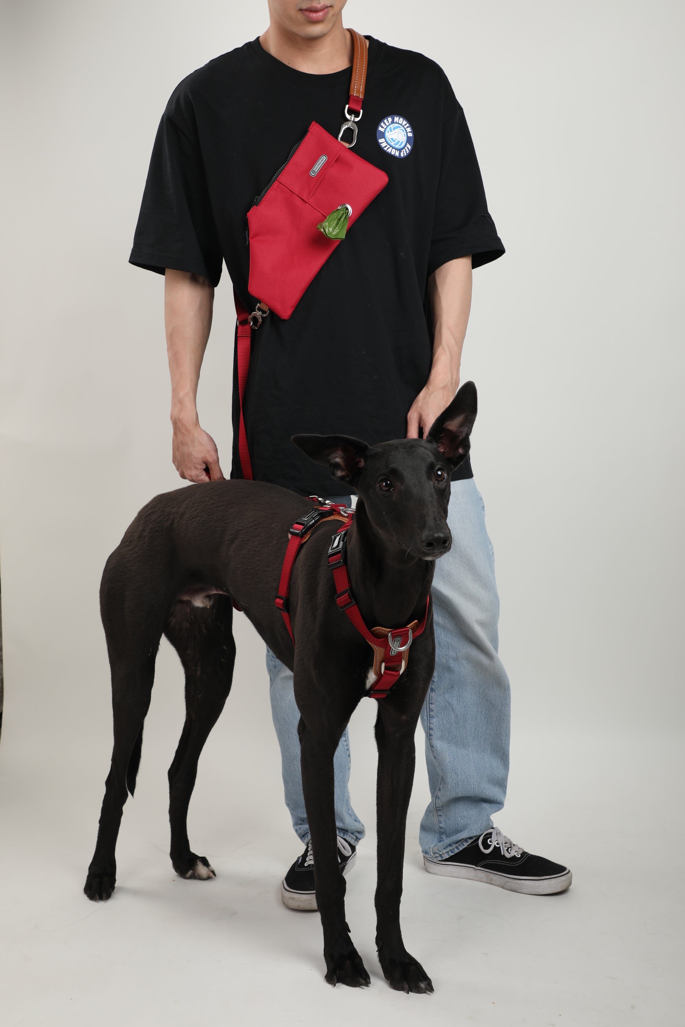 Dog Walking Bag