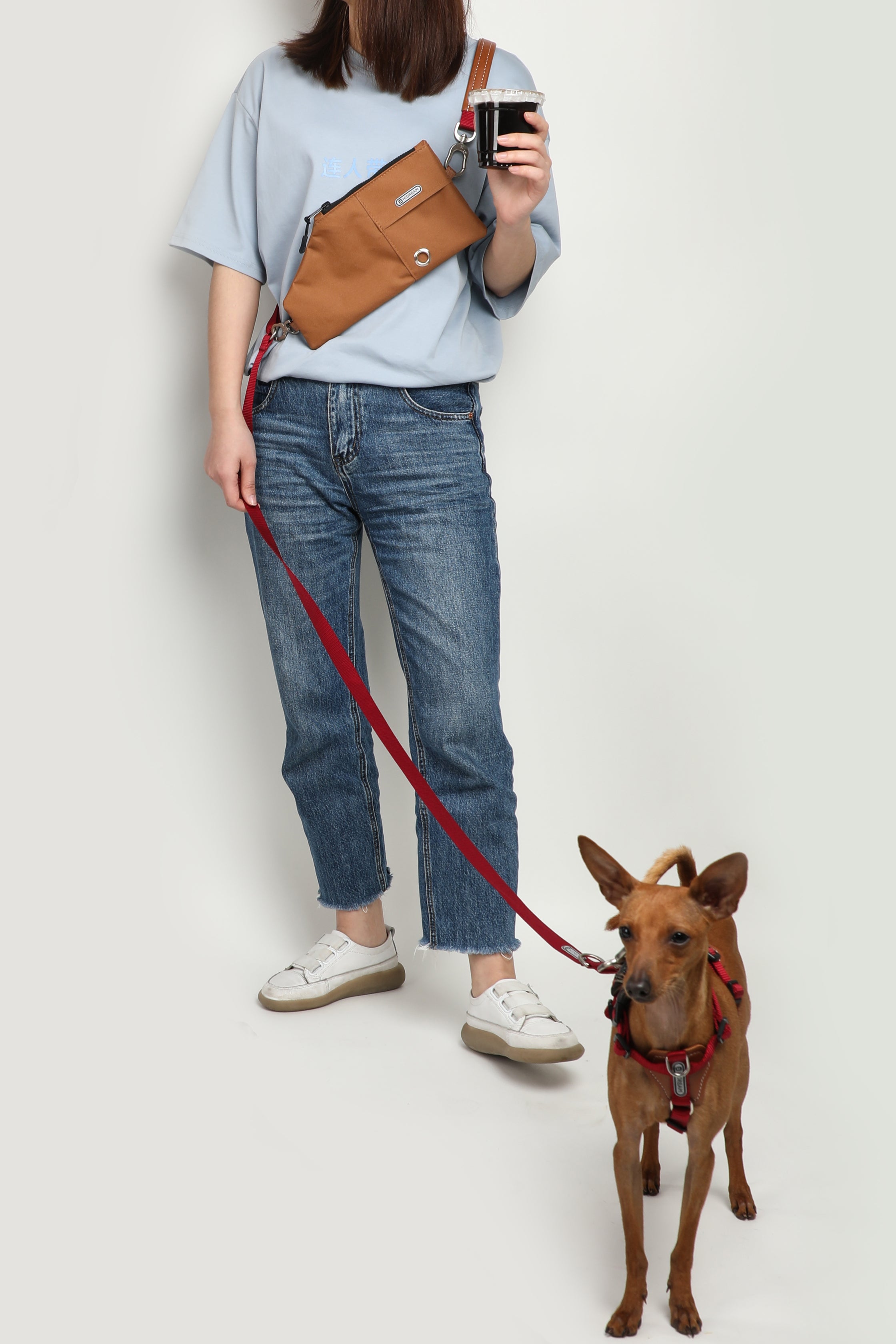 Multi-Functional Crossbody Dog Leash