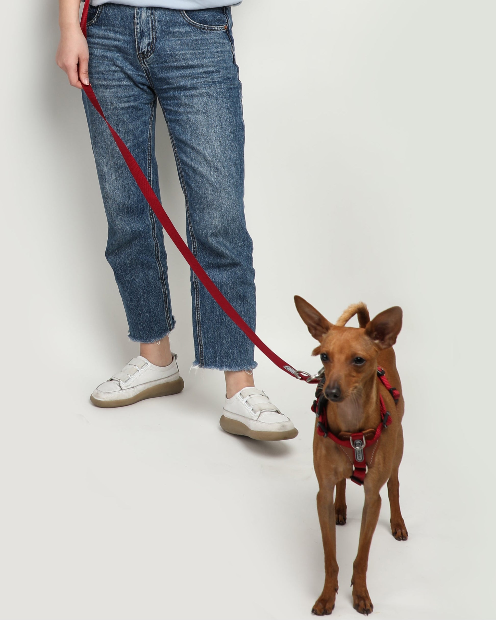 Multi-Functional Crossbody Dog Leash - Dark Red