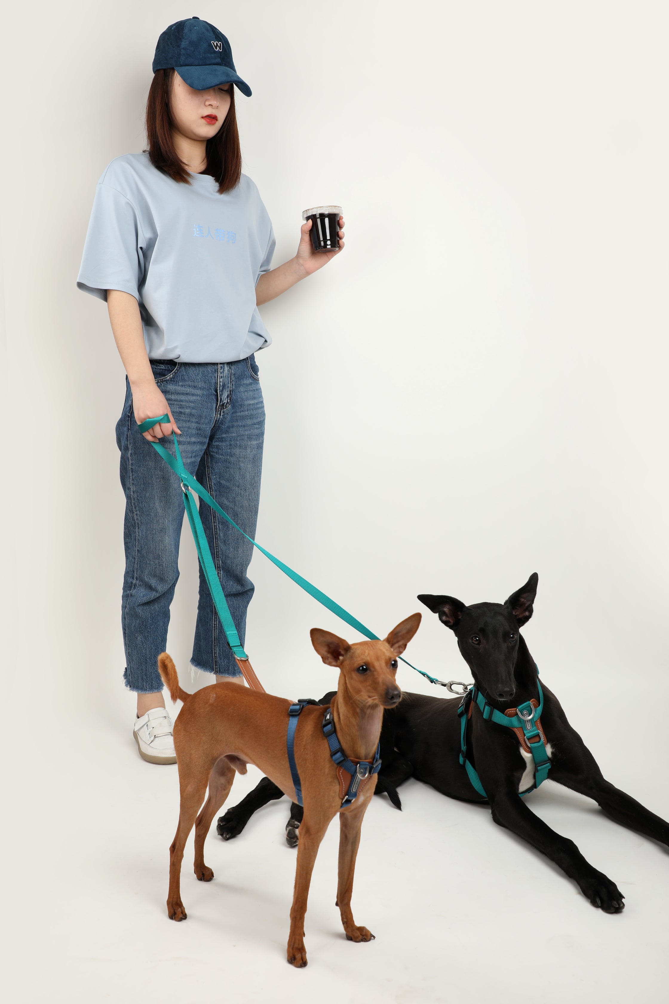 Multi-Functional Crossbody Dog Leash