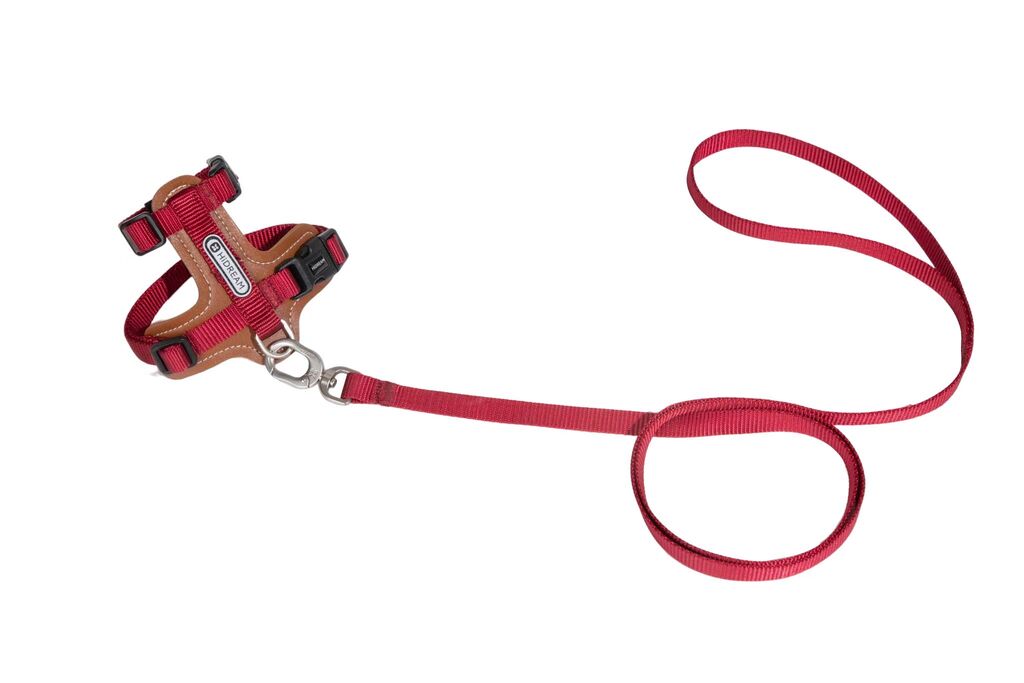 Premium Leather Cat Harness and Leash Set