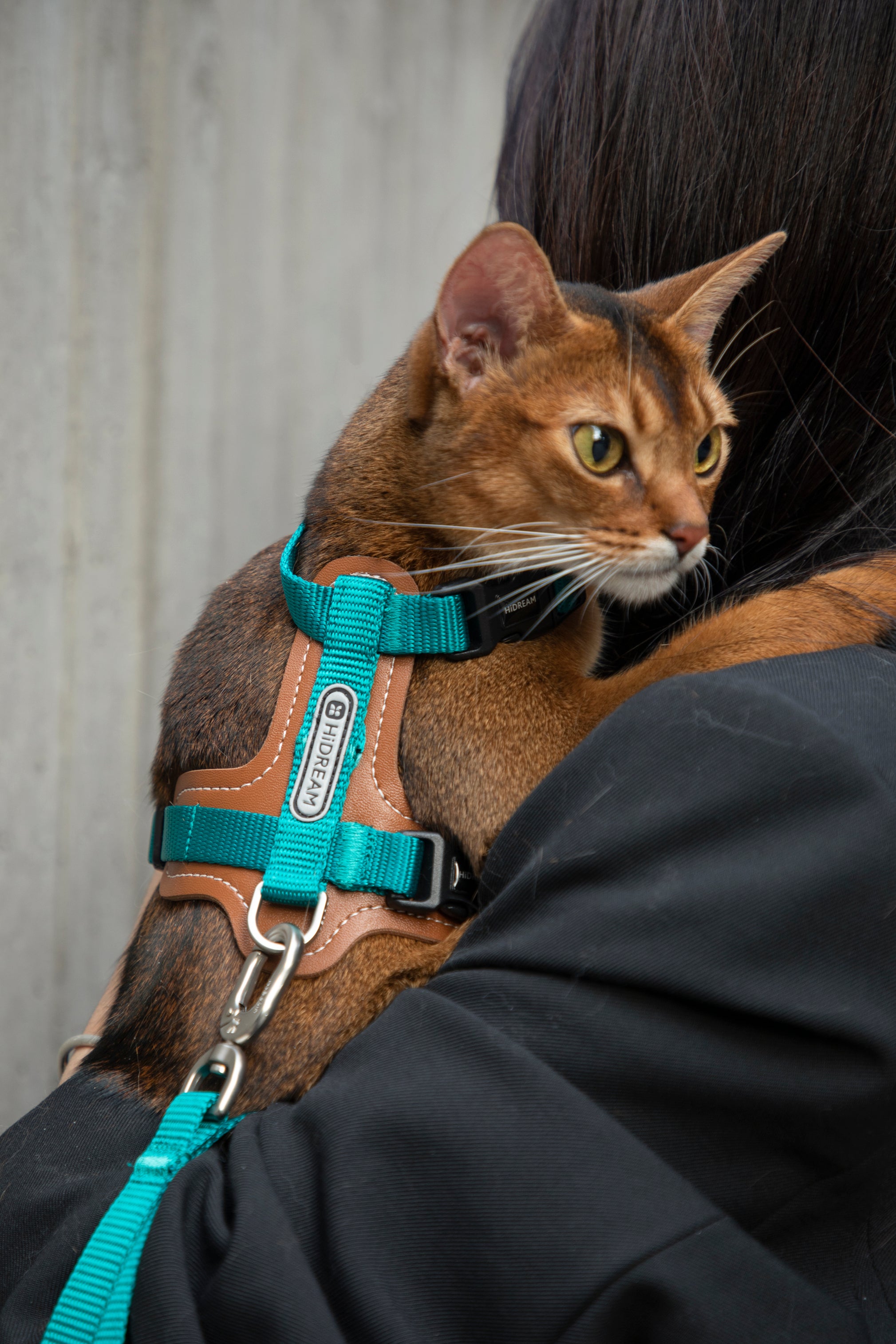 Premium Leather Cat Harness and Leash Set