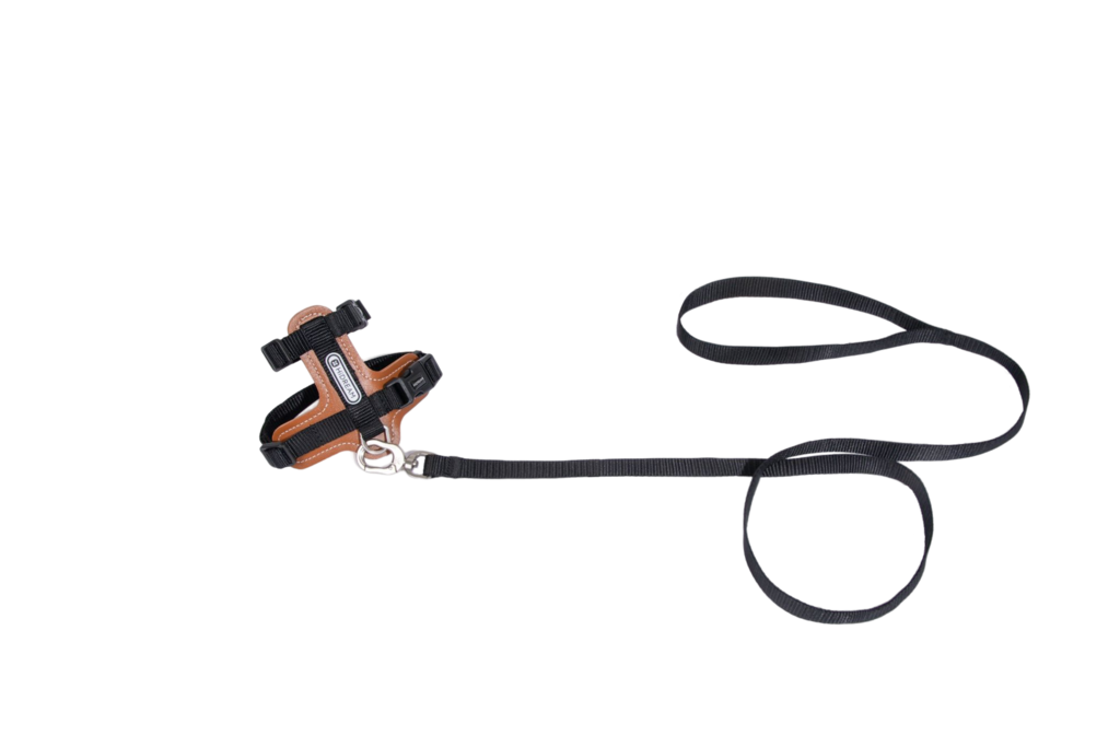Premium Leather Cat Harness and Leash Set