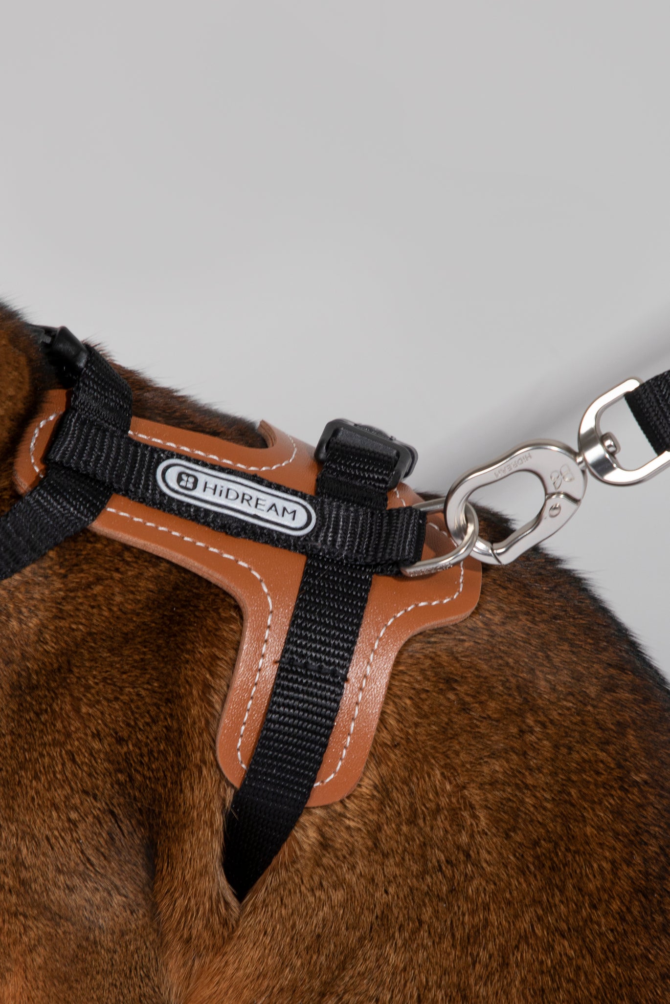 Premium Leather Cat Harness and Leash Set - Dark Red