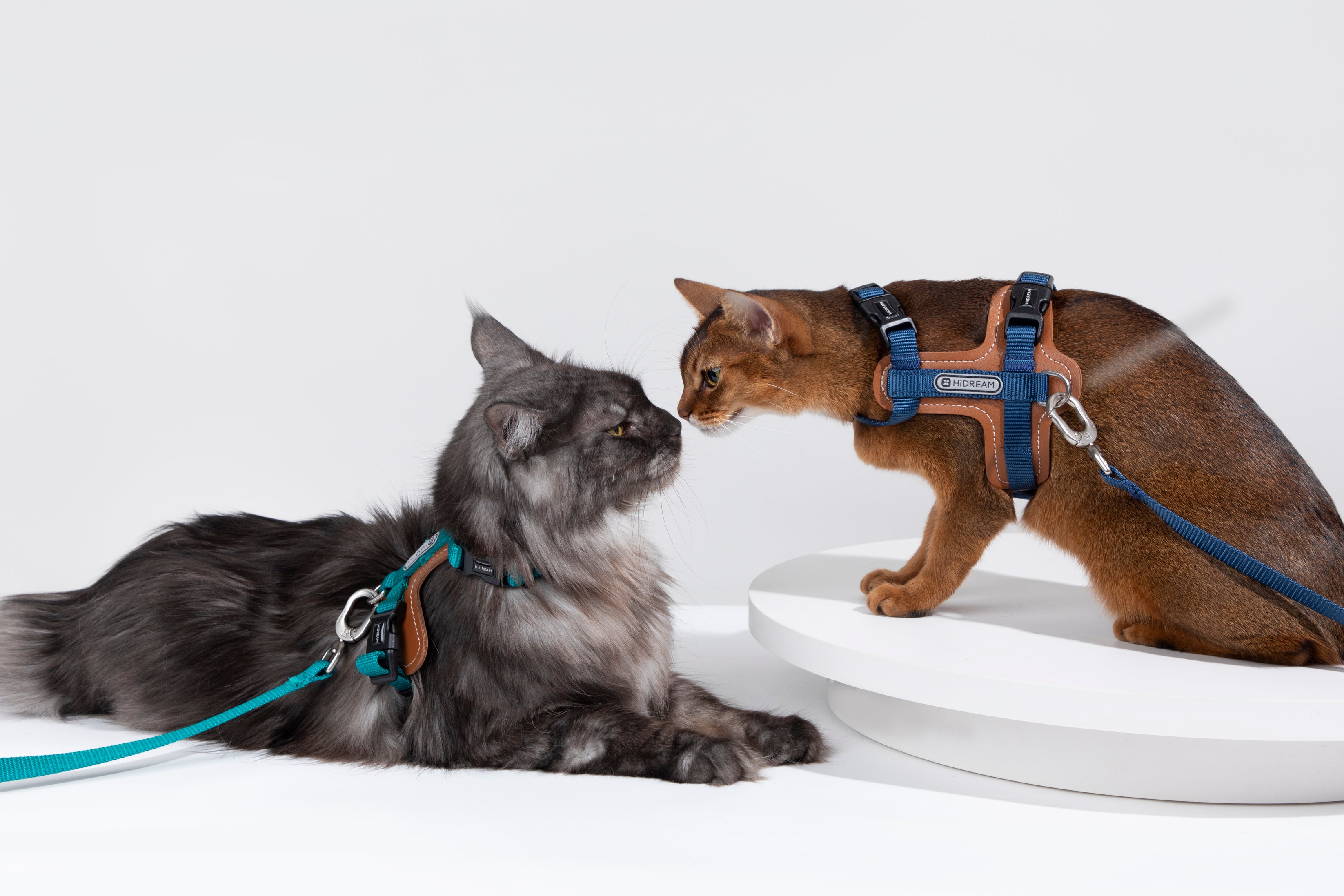 Premium Leather Cat Harness and Leash Set - Dark Red