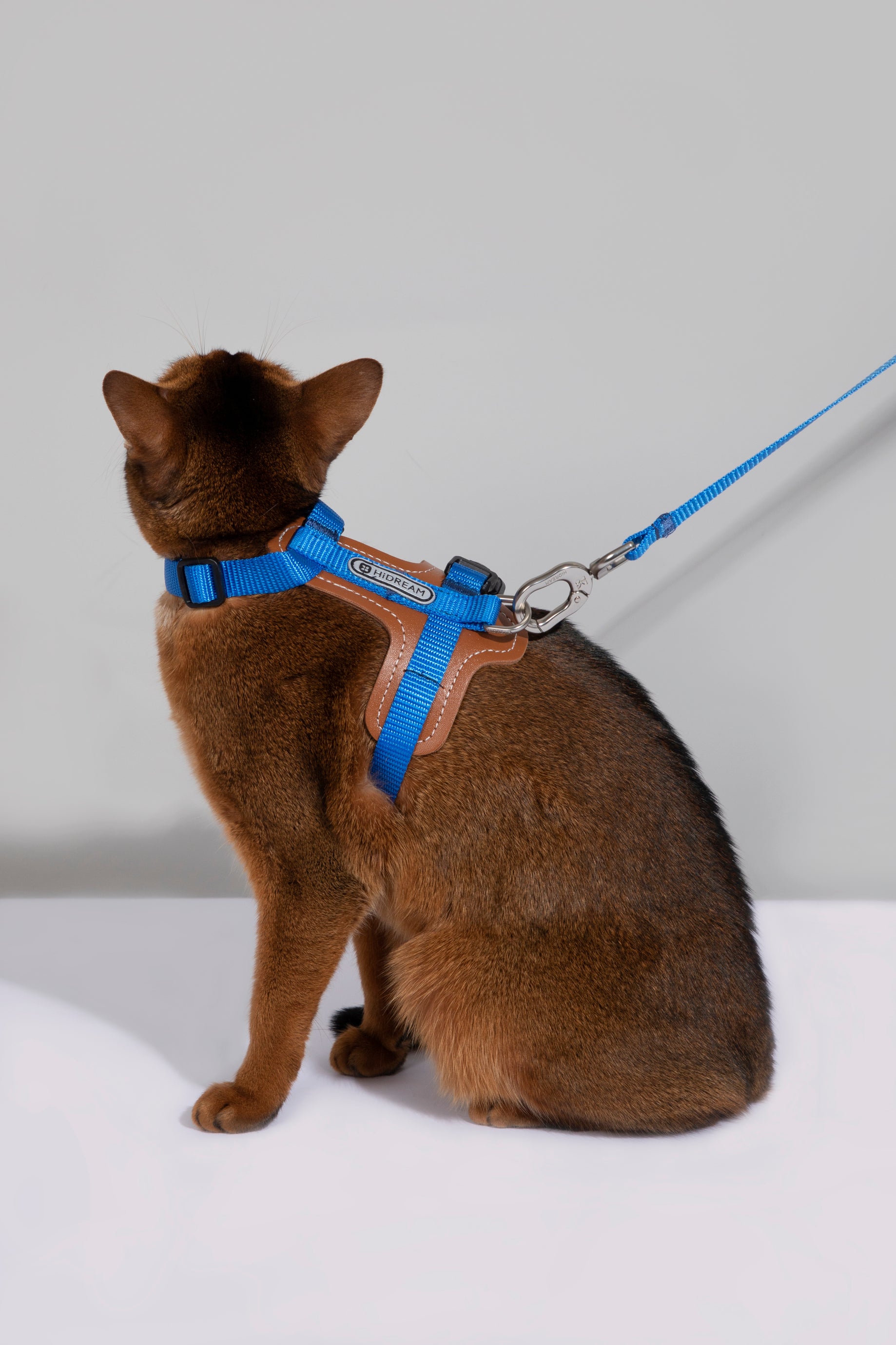 Premium Leather Cat Harness and Leash Set