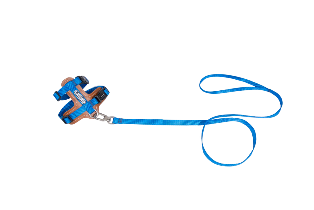 Premium Leather Cat Harness and Leash Set