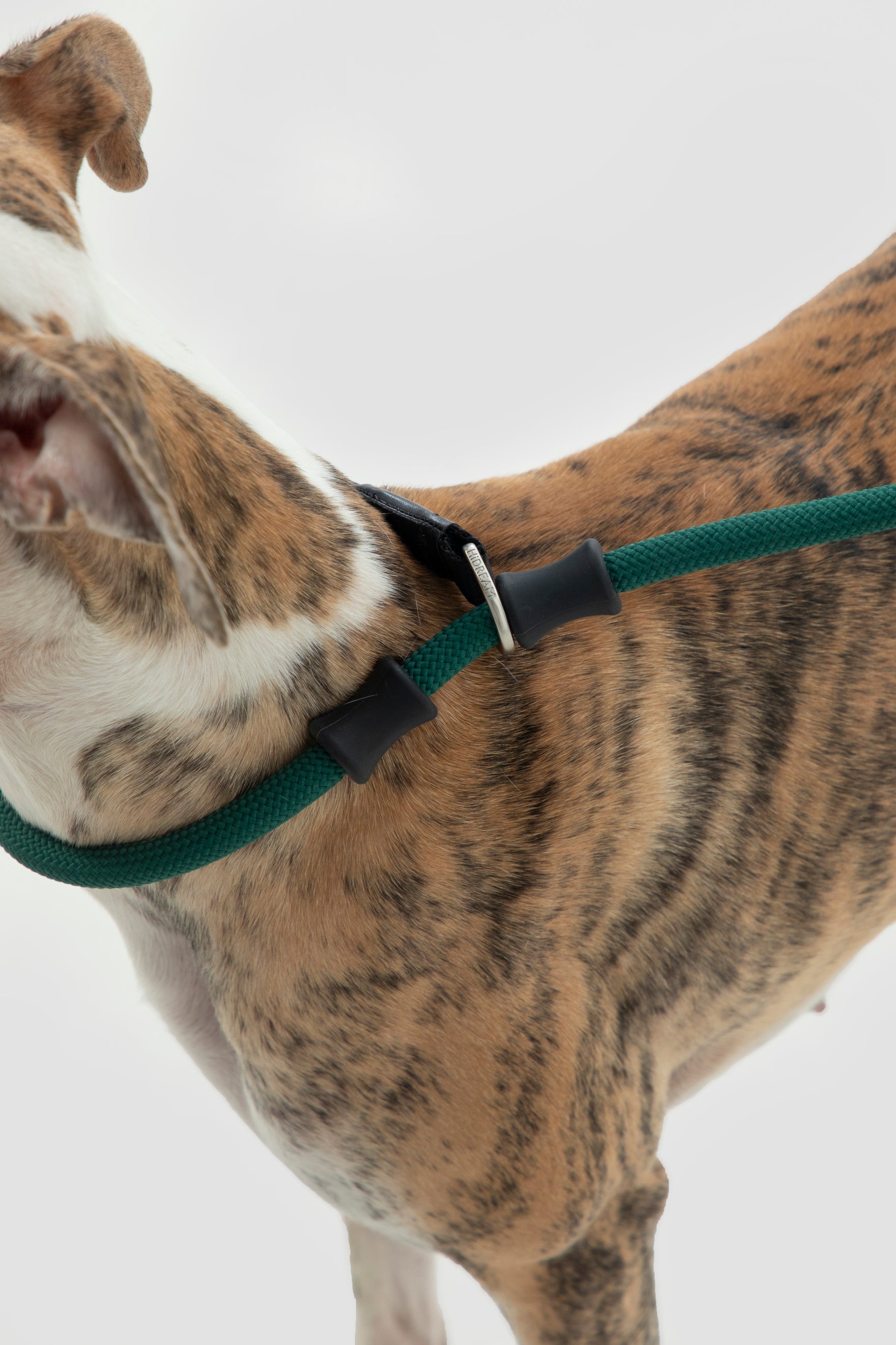 Leather Handle Training Dog Leash - Seagull Grey