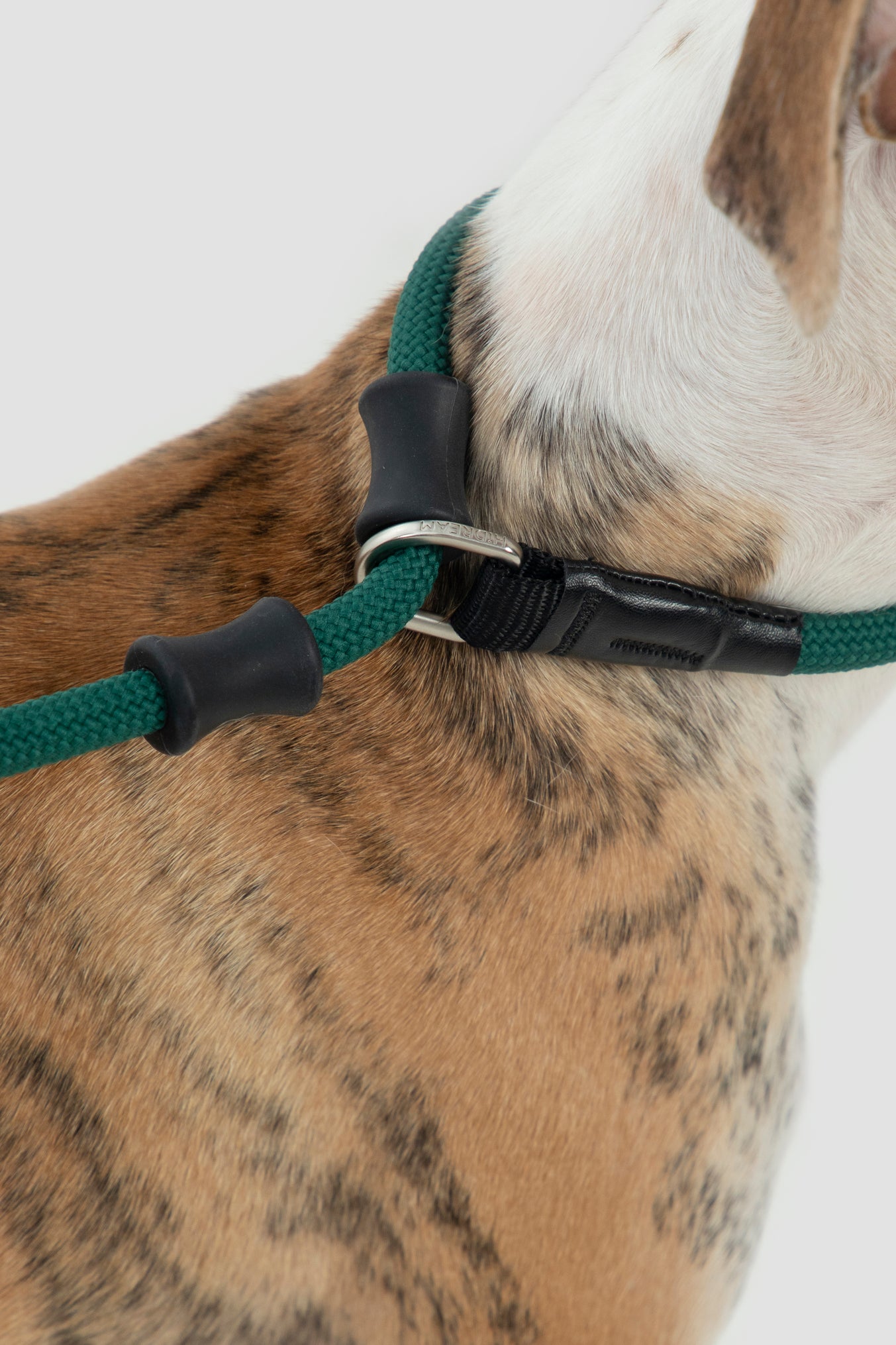 Leather Handle Training Dog Leash