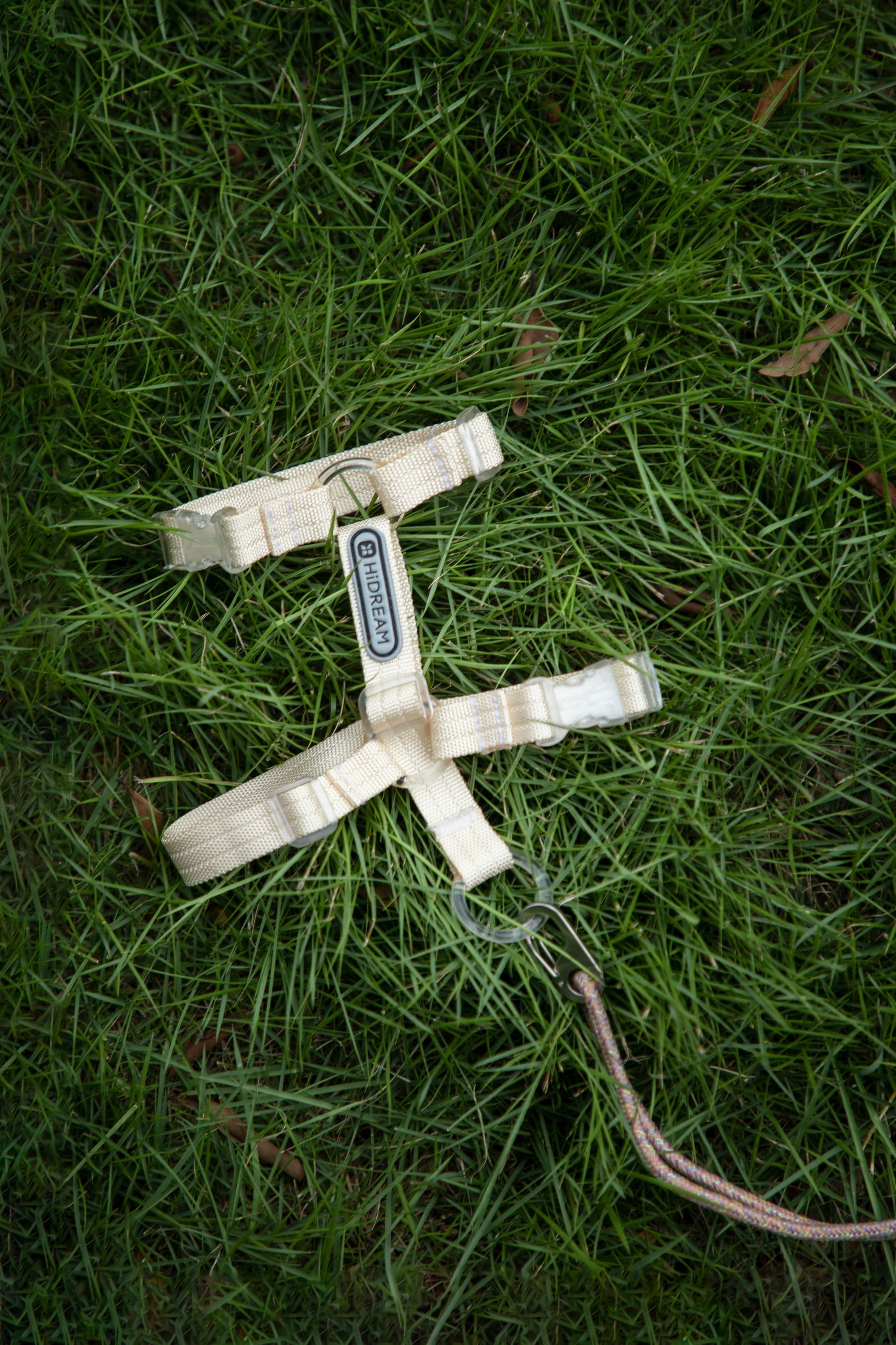 Freedom Exploration Cat Harness and Leash Set