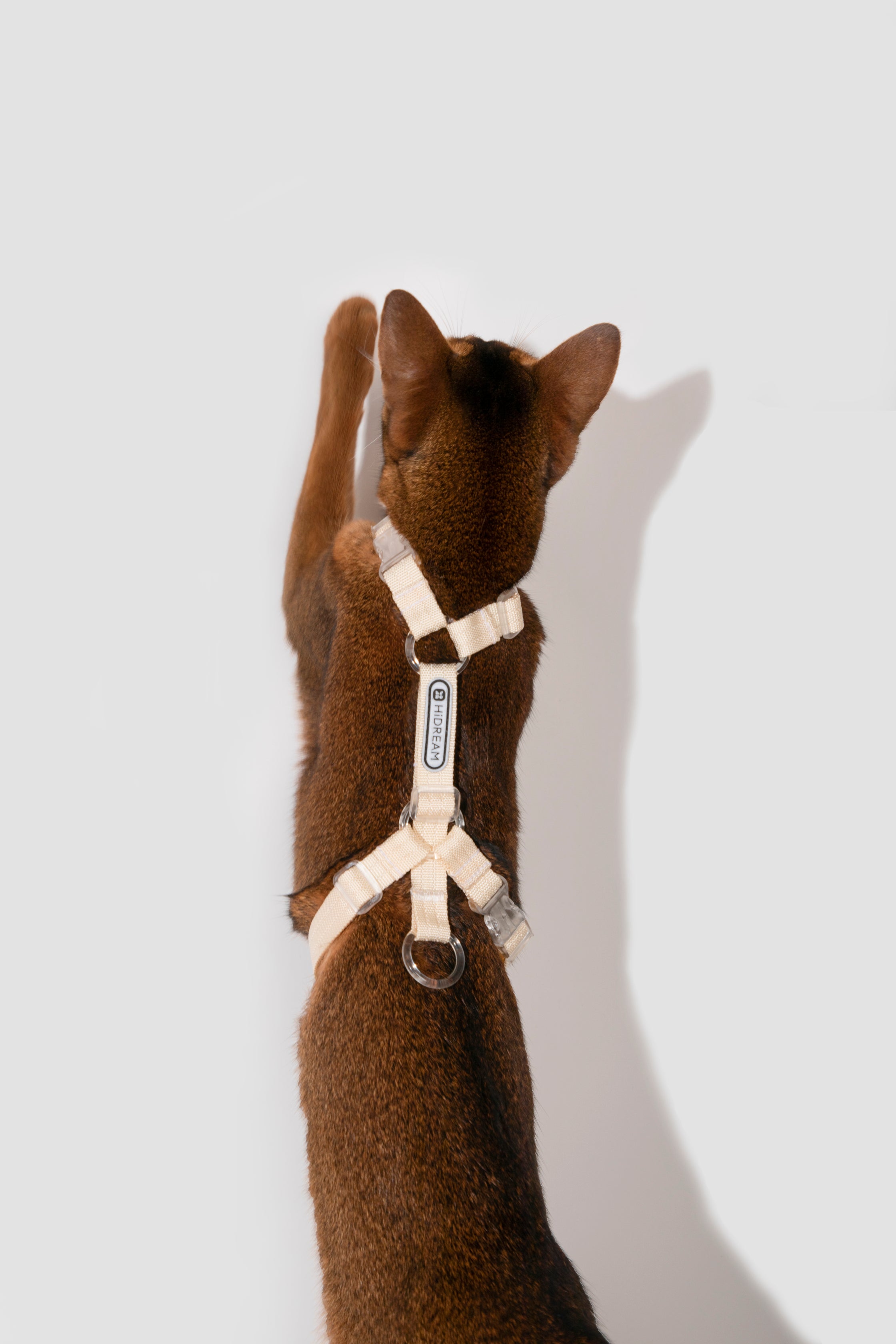 Freedom Exploration Cat Harness and Leash Set - Violet