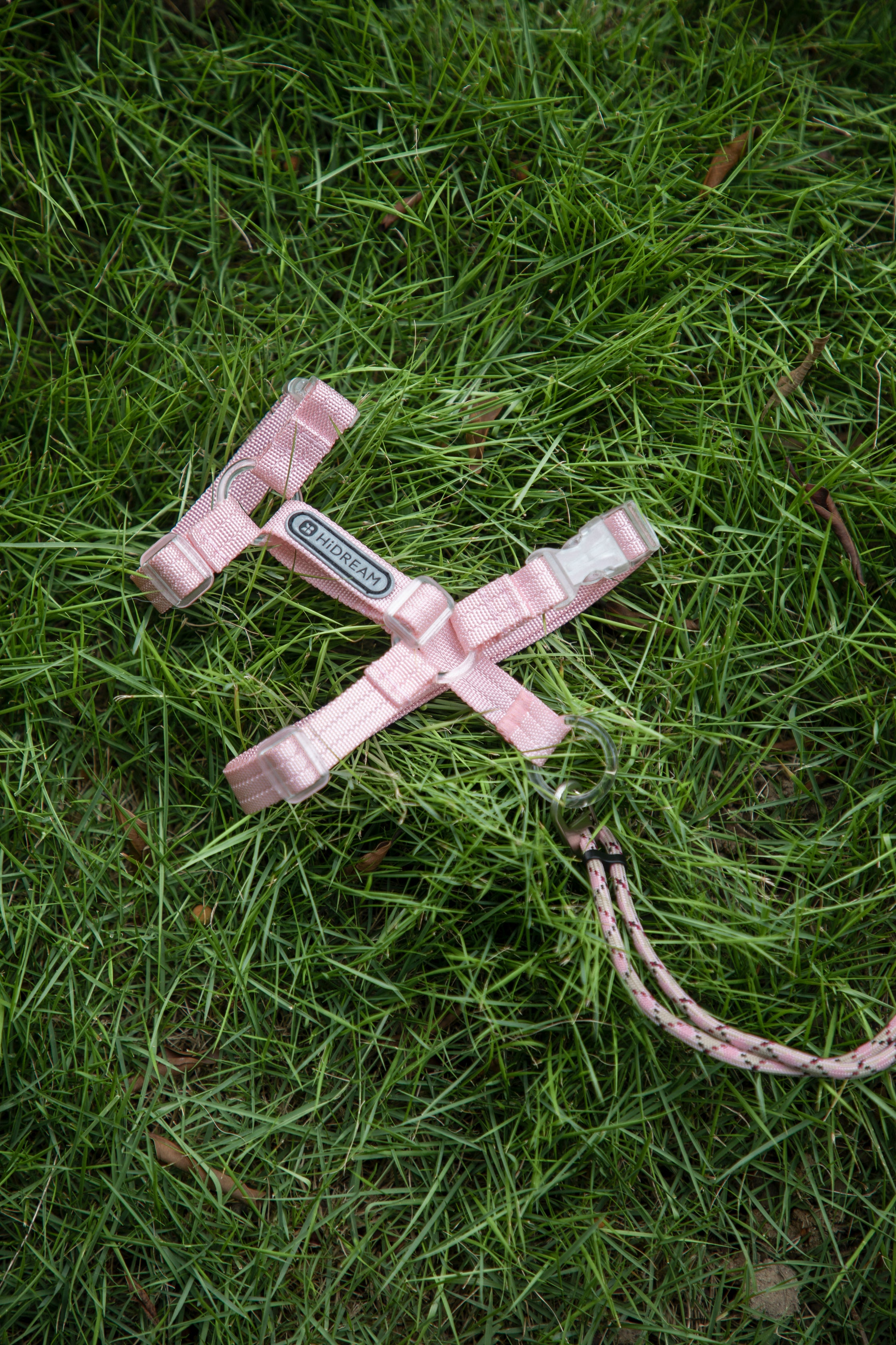 Freedom Exploration Cat Harness and Leash Set - Violet