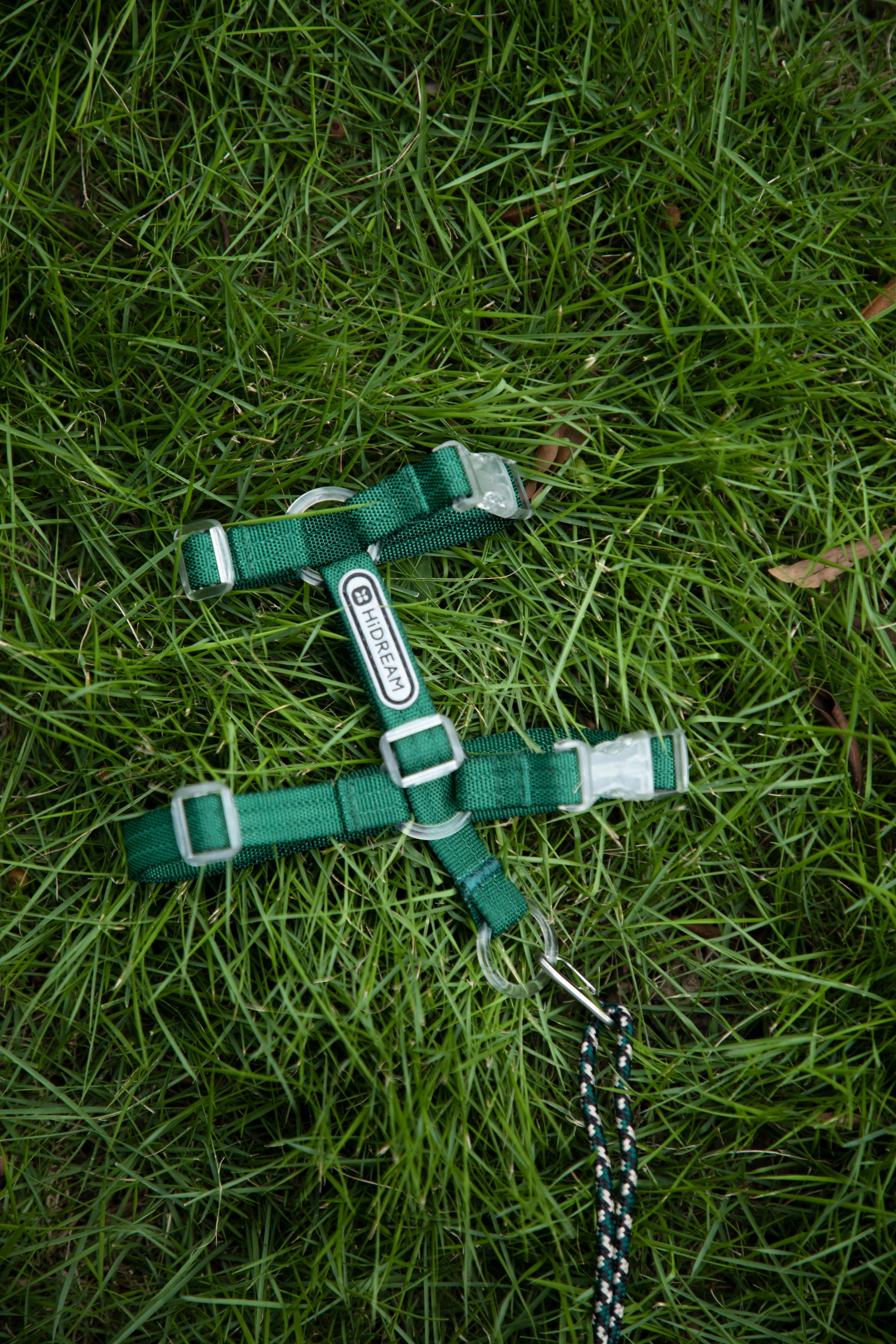 Freedom Exploration Cat Harness and Leash Set