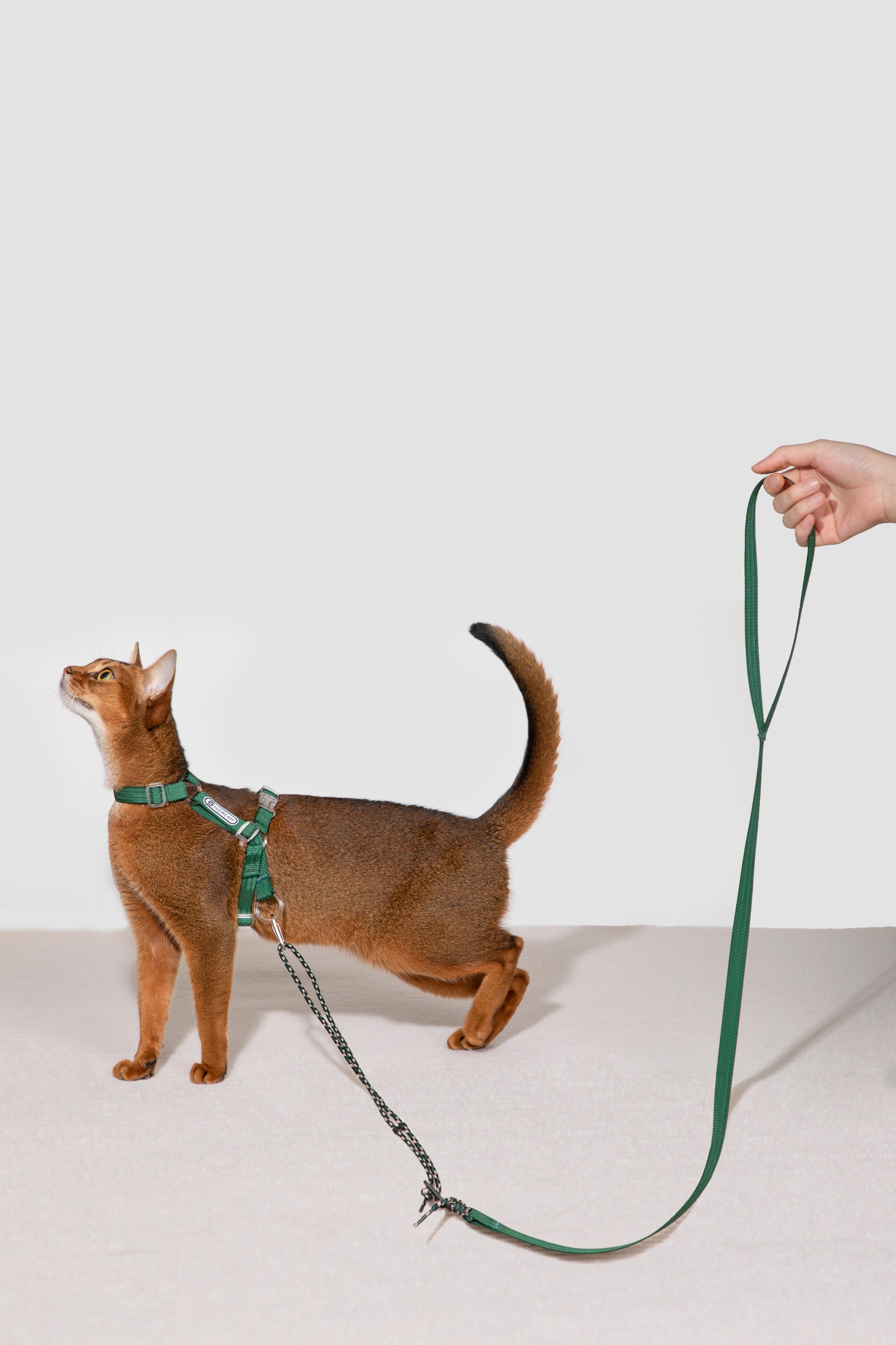 Freedom Exploration Cat Harness and Leash Set