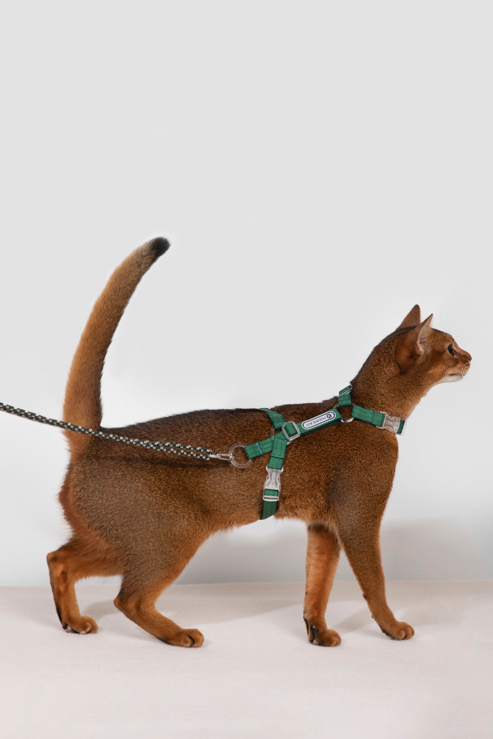Freedom Exploration Cat Harness and Leash Set