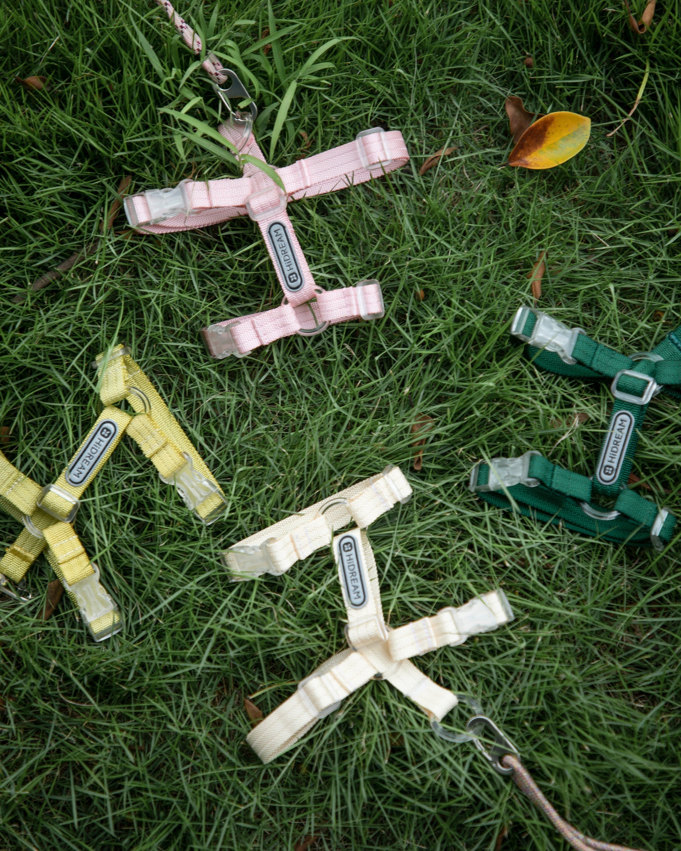 Freedom Exploration Cat Harness and Leash Set