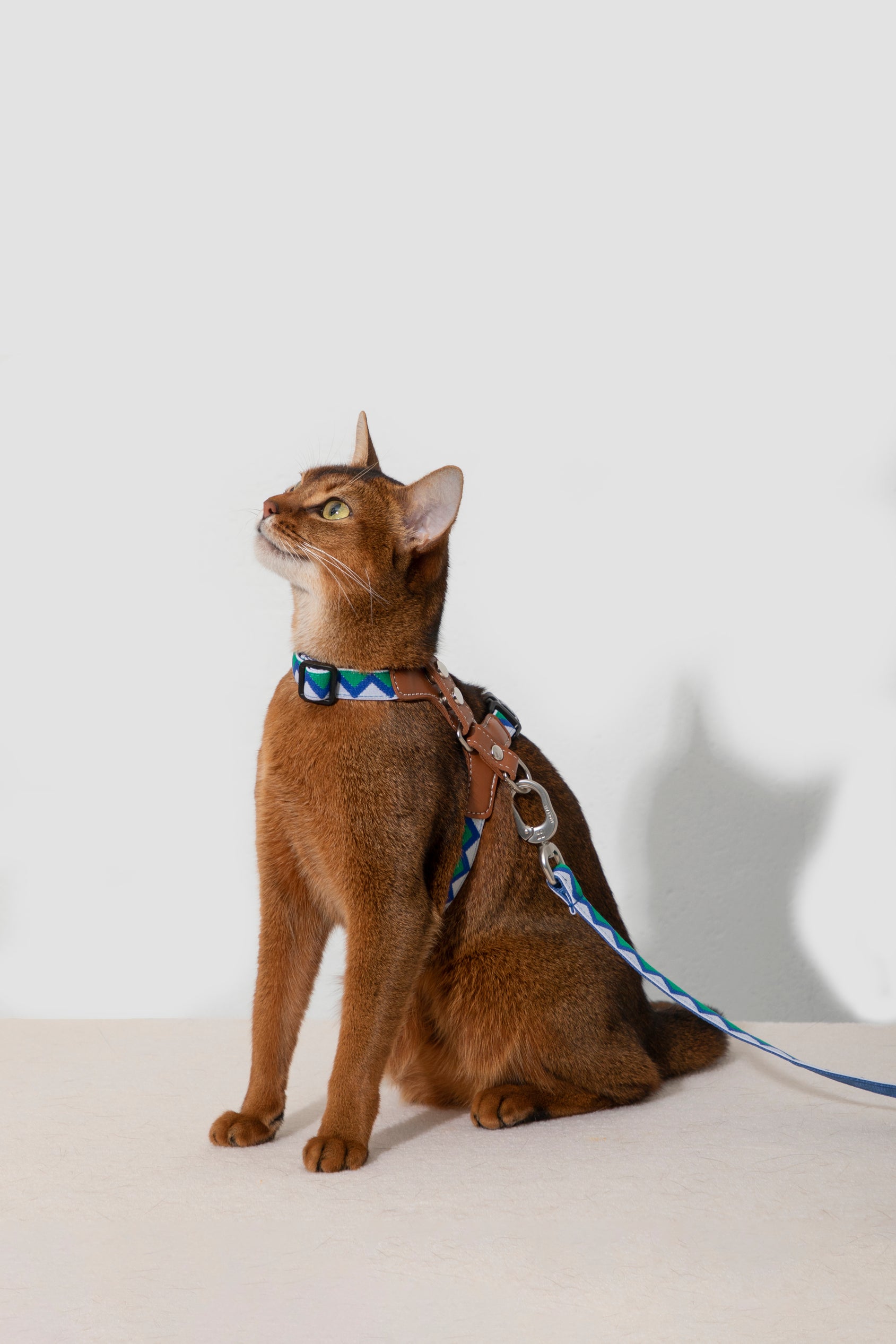 Back Adjustable Leather Cat Harness and Leash Set