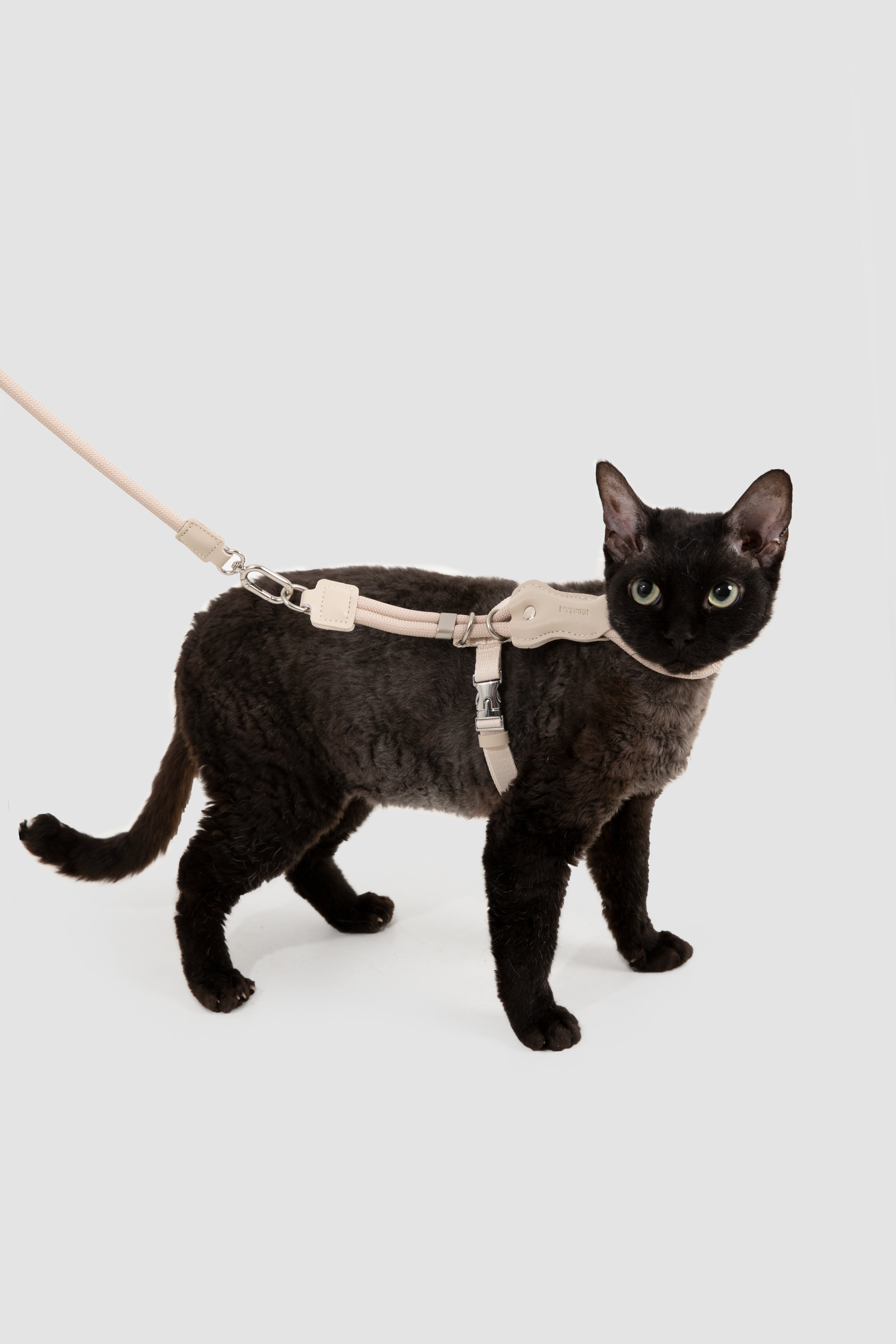 Leather Round Rope Cat Harness Set - Lisianthus Purple