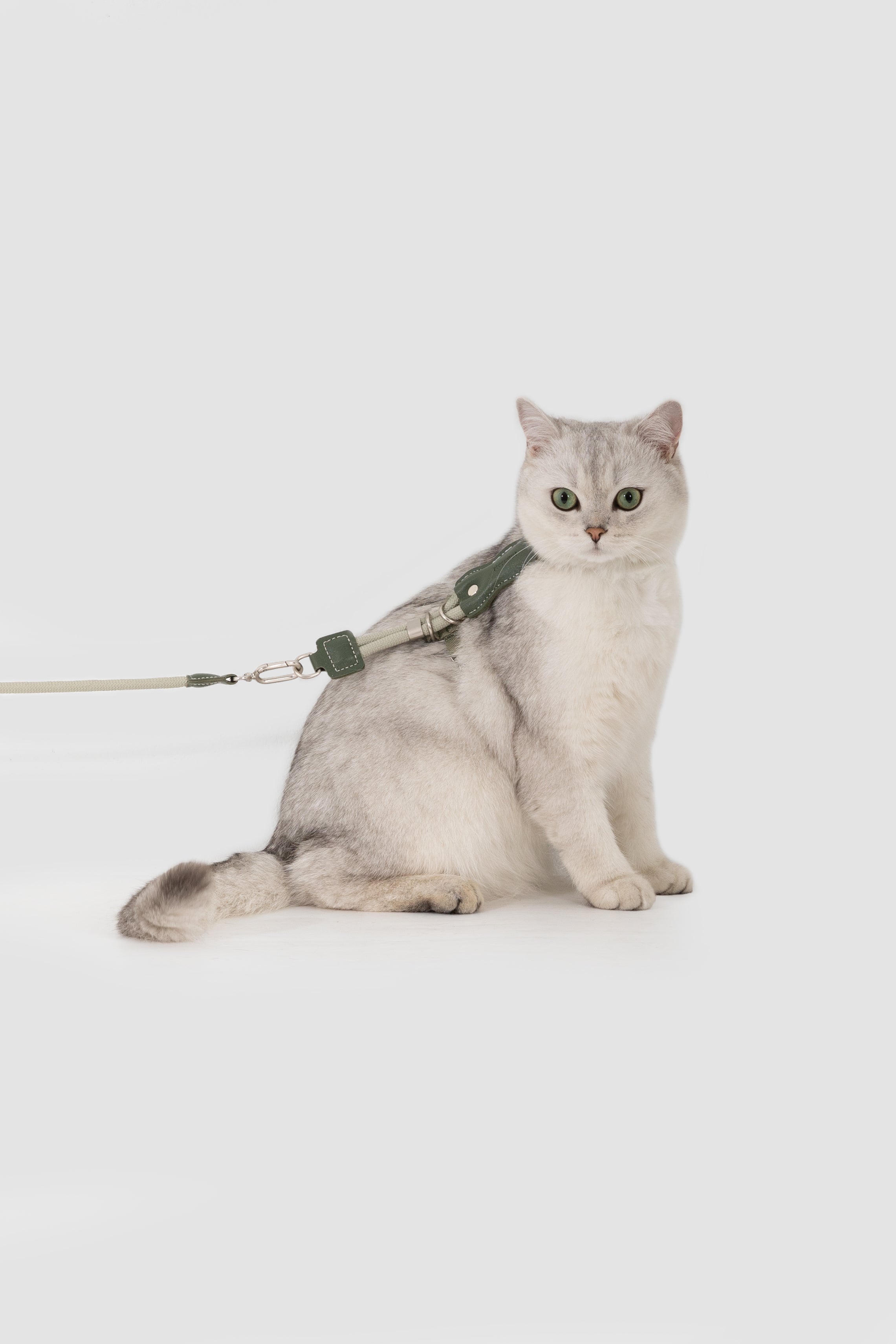 Leather Round Rope Cat Harness Set